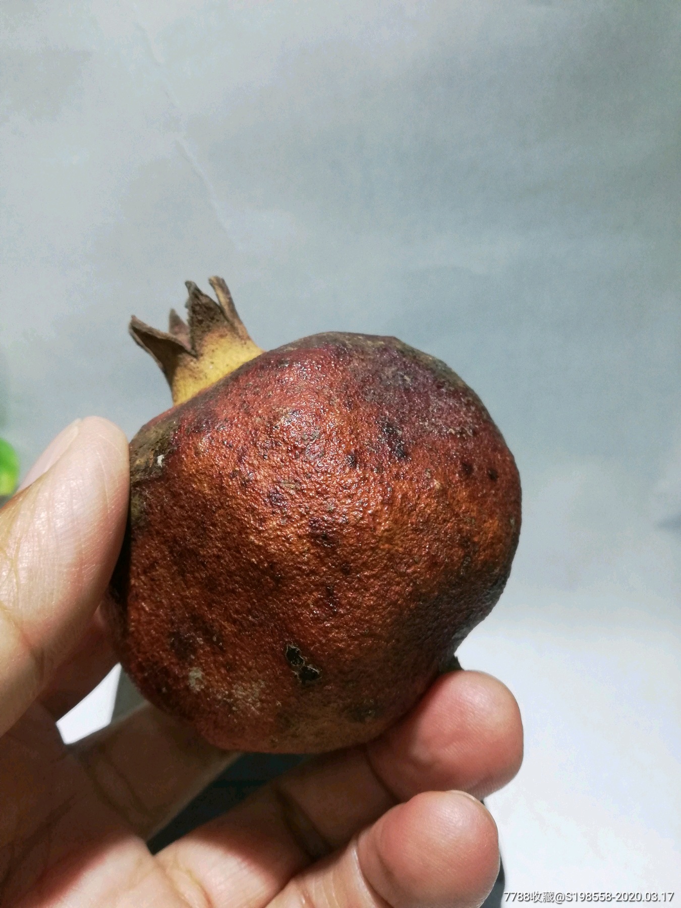 天然风干石榴,文房清供摆件