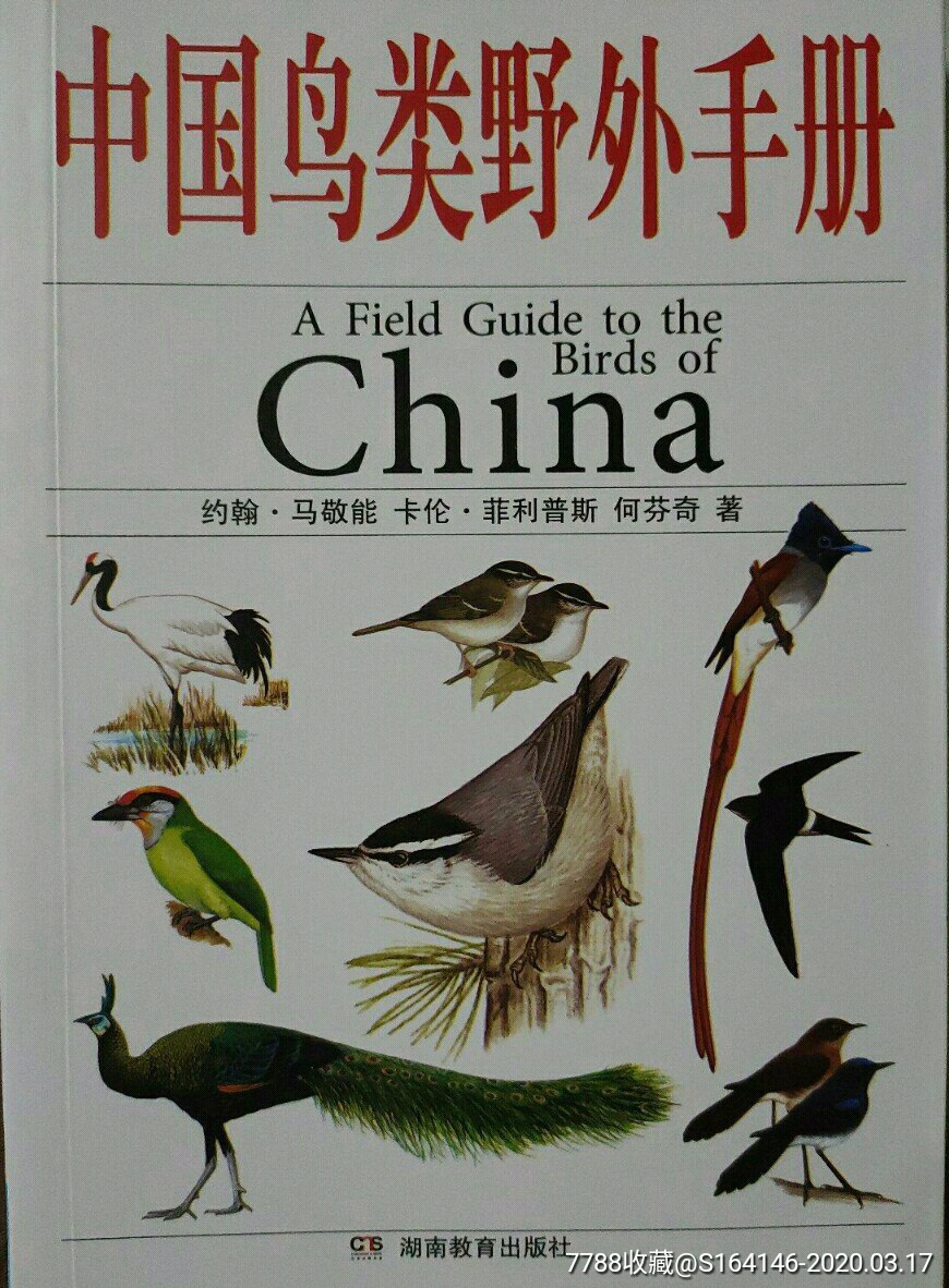中国鸟类野外手册