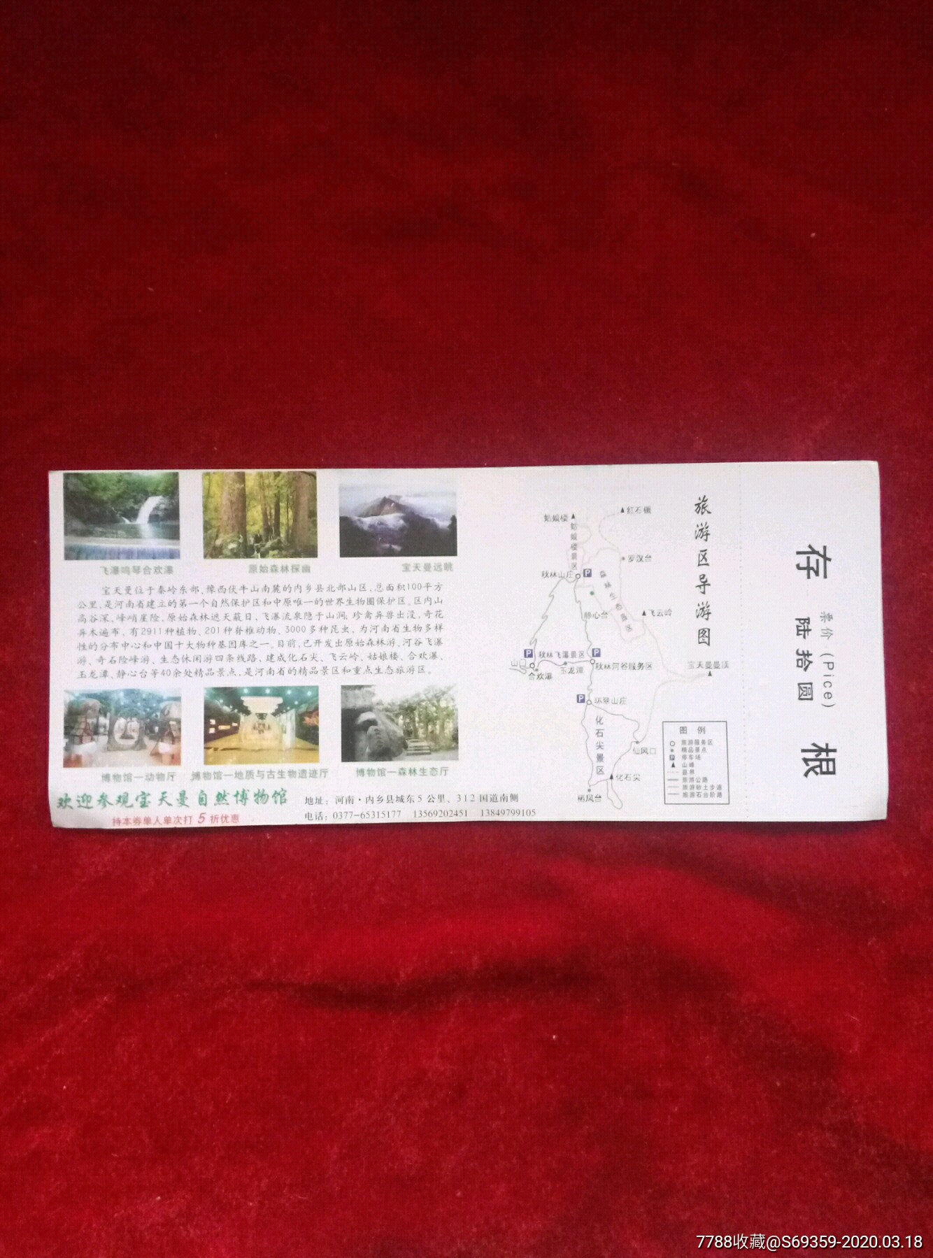 河南宝天曼生态旅游区.