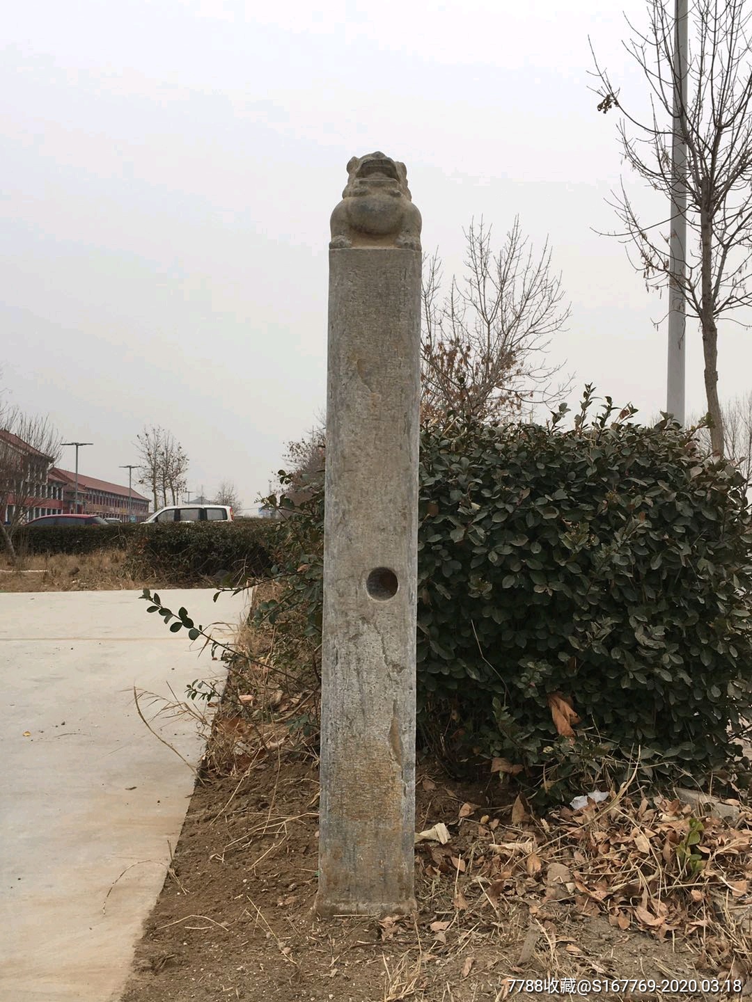 5品99清代青石狮子拴马桩￥38,0009.