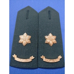 徽章/像章_未出售_在线 全部【商店:离陌倾城一号店】【7788收藏