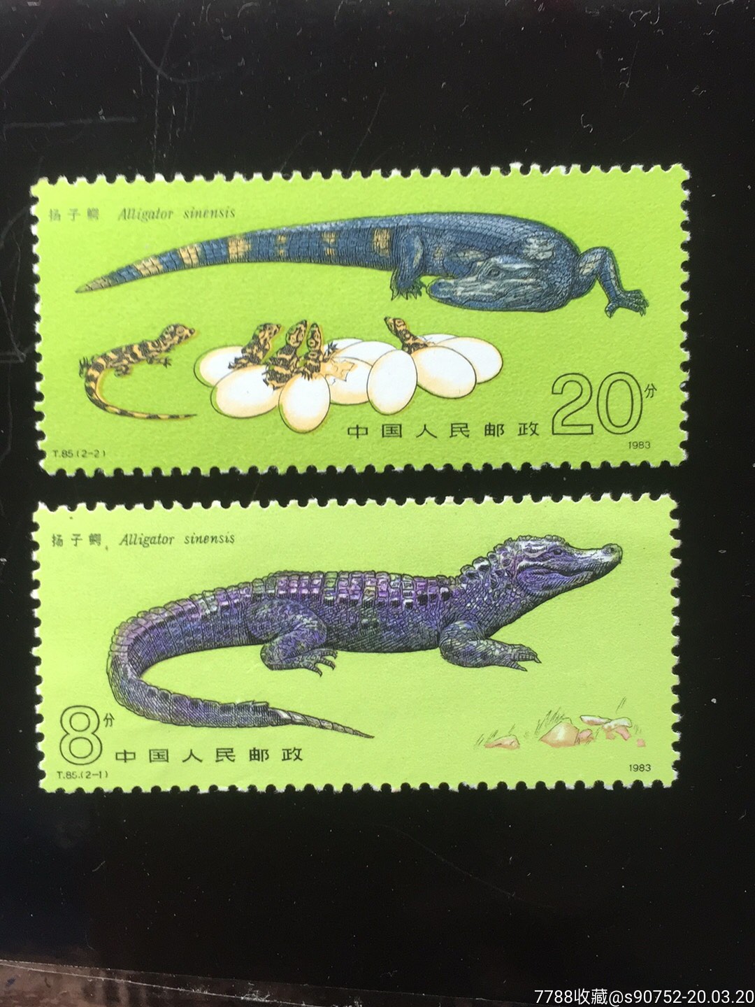 t85(原胶.全品)-新中国邮票-7788收藏__收藏热线