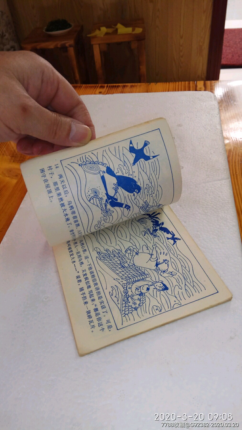 天津83年一版一印《天鸟的孩子们》85品