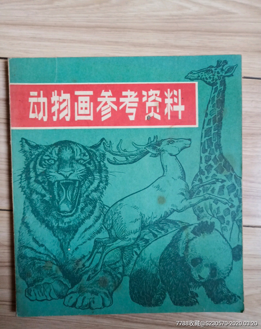 动物画参考资料