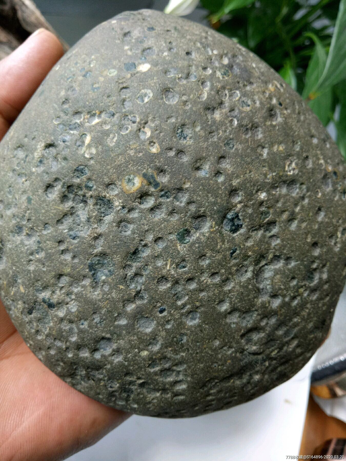金属球粒陨石矿石(中磁性)