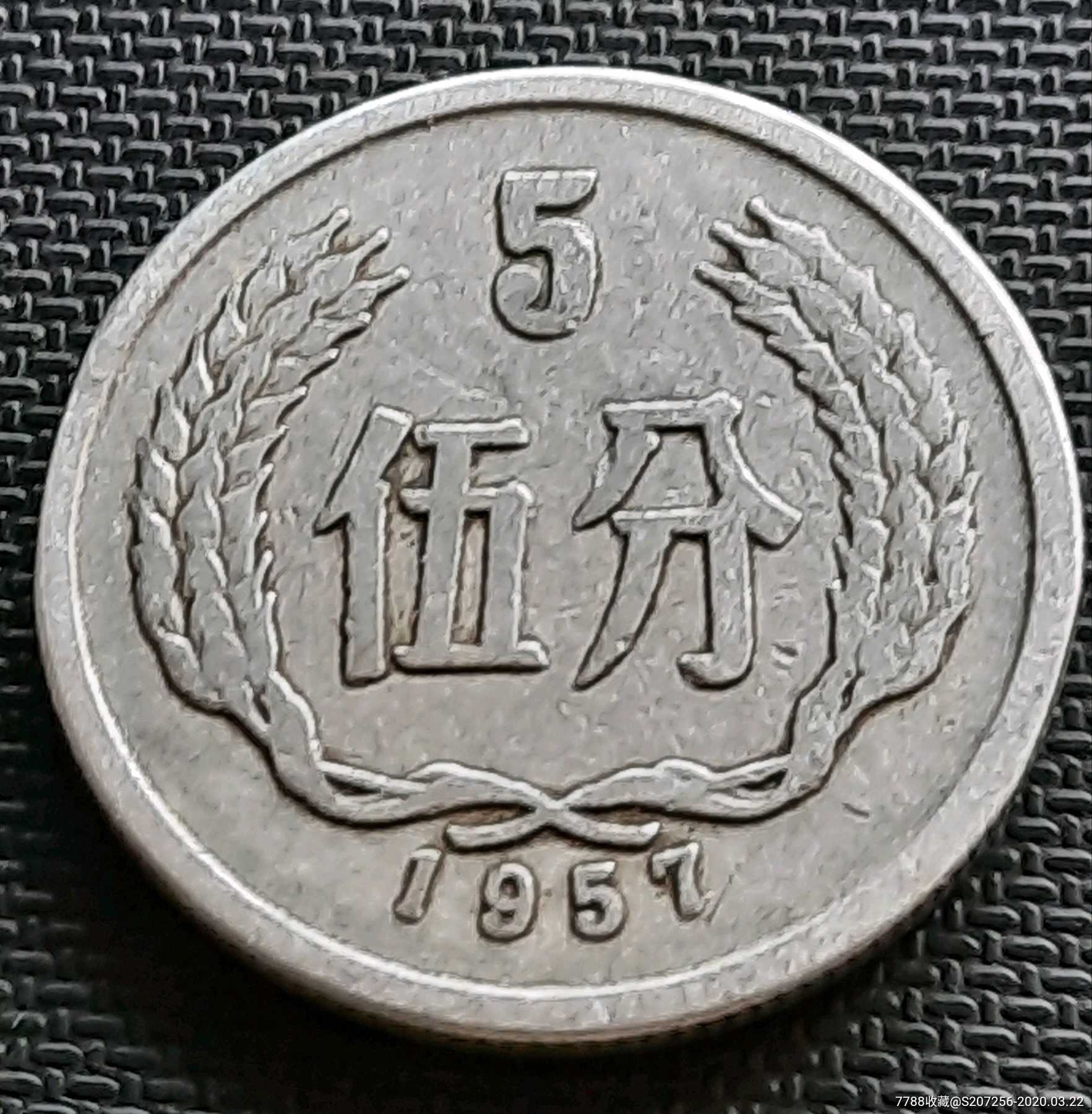 5分人民币图案图片