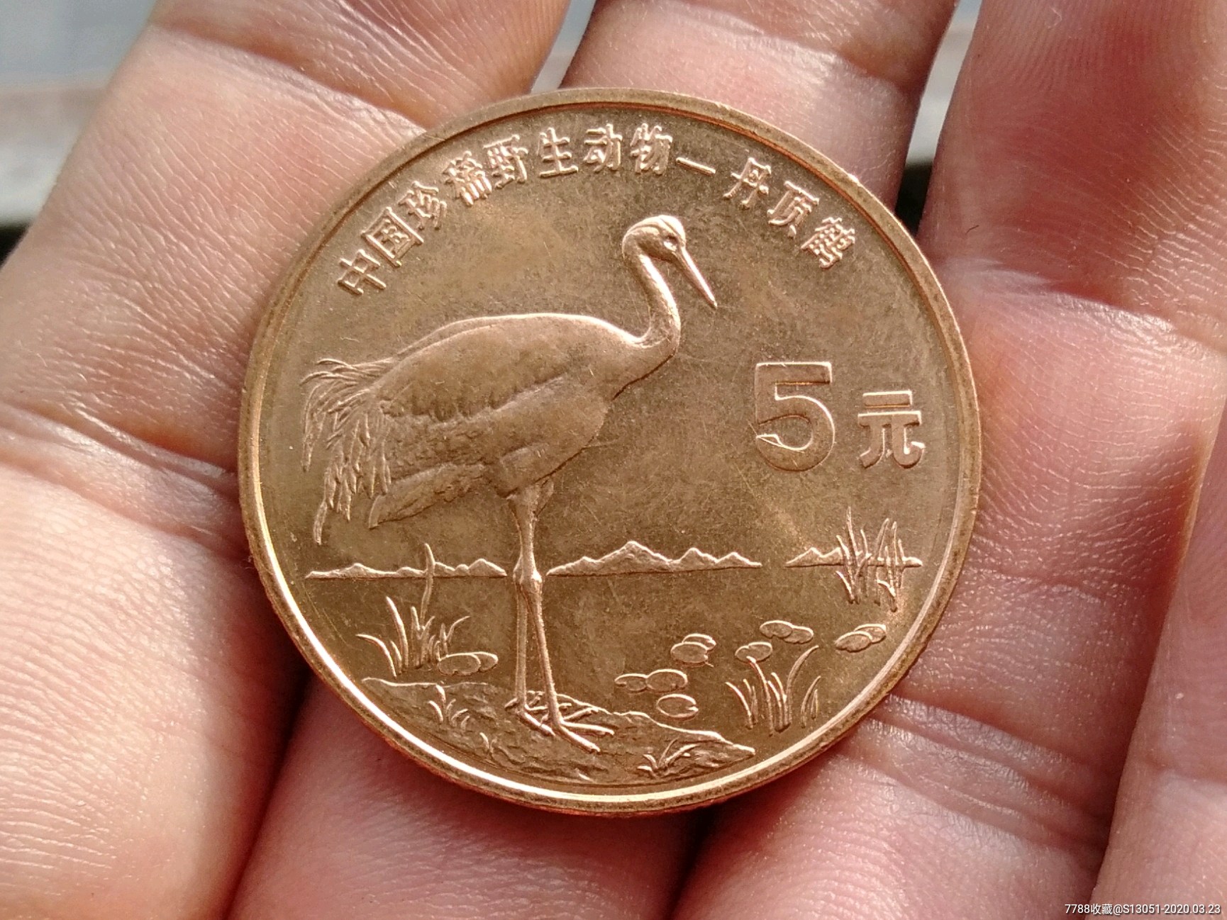 丹顶鹤-普通纪念币-7788收藏__收藏热线