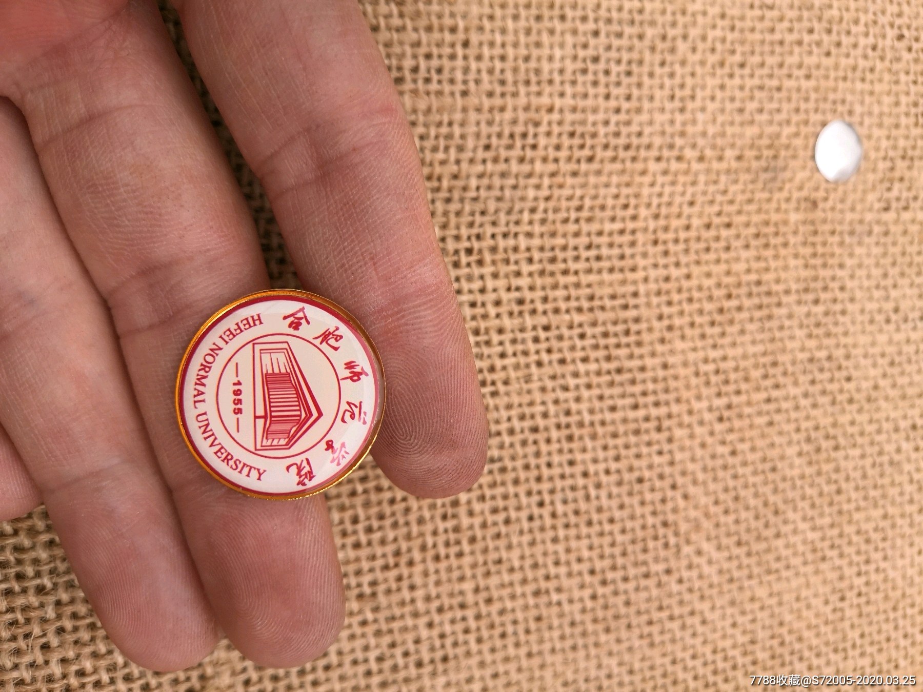 合肥师范学院2013年毕业纪念章