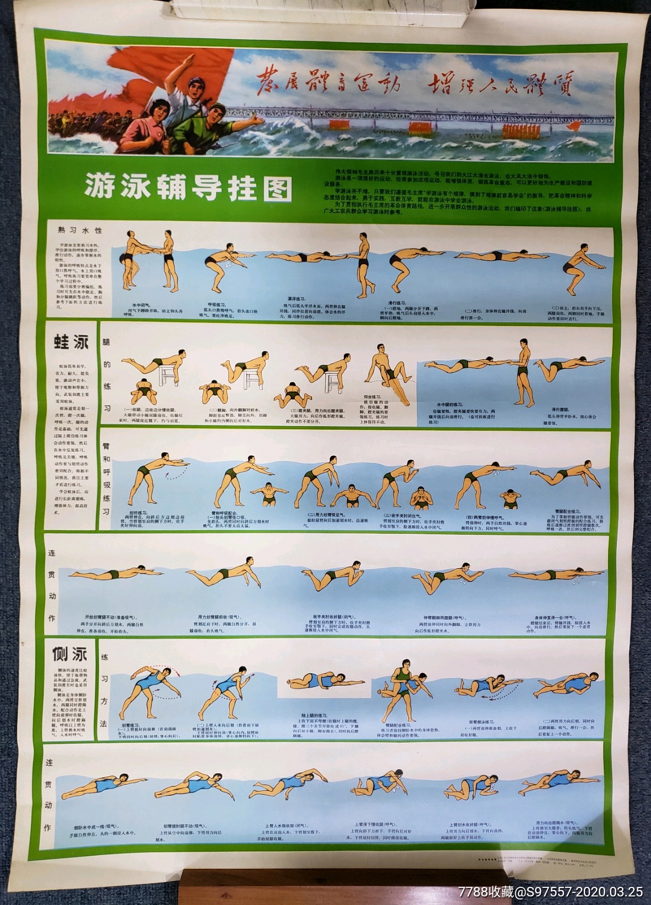 1972年游泳辅导挂图一套