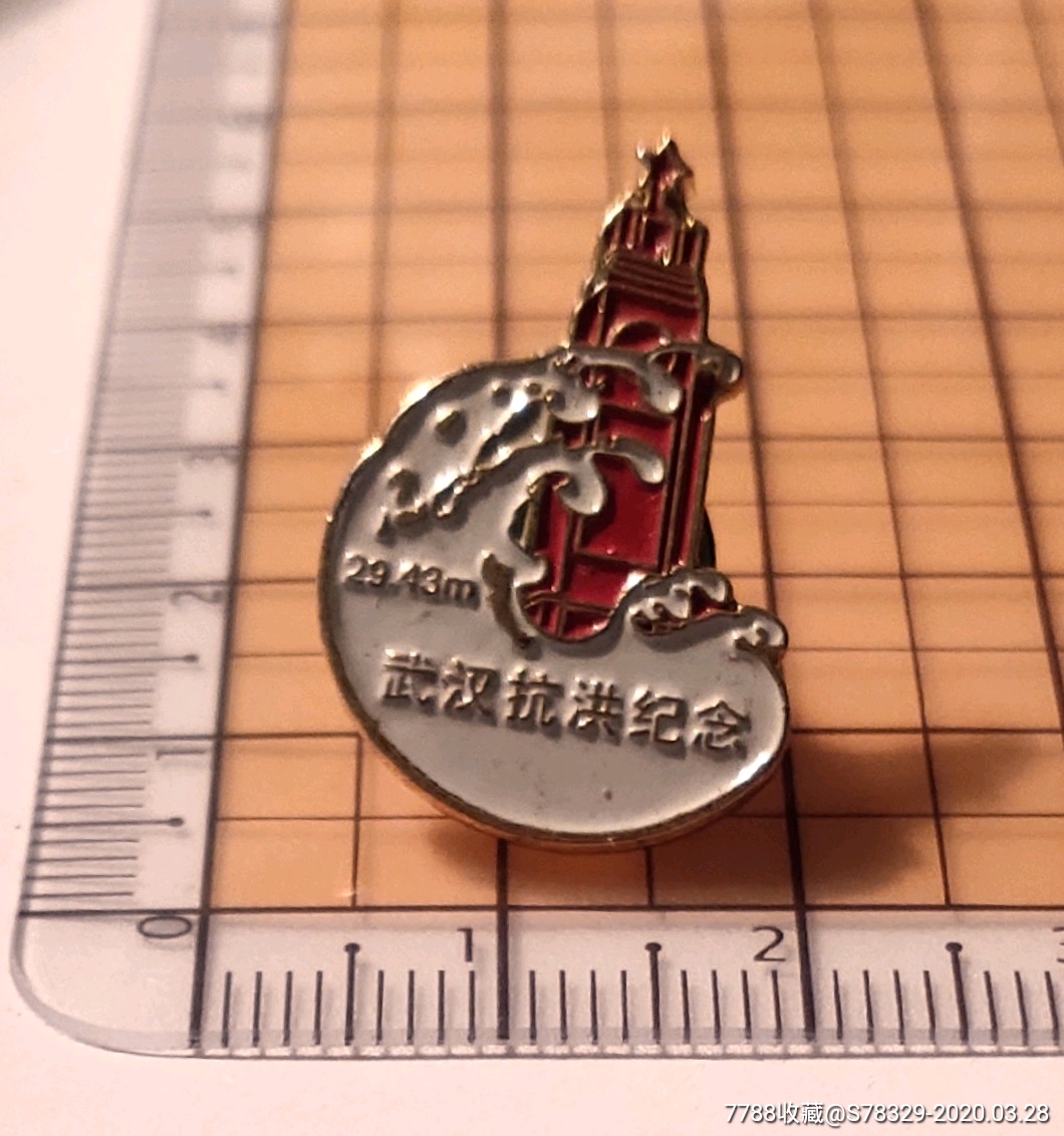武汉抗洪纪念章1998