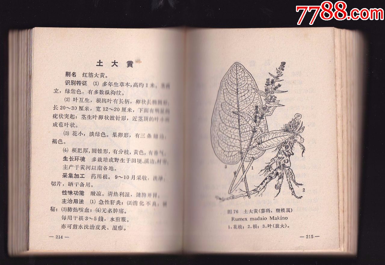 常用中草药手册