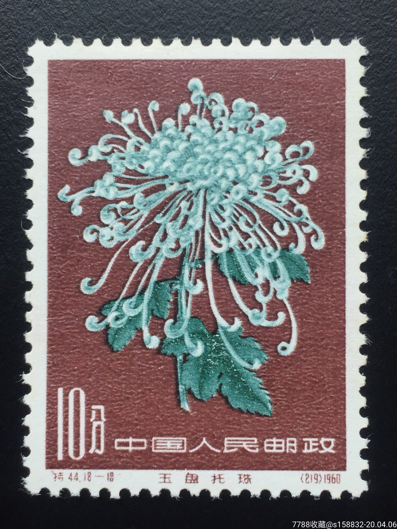 特44菊花18-10新票一枚,原胶上品_新中国邮票_浇花人封票小铺【7788