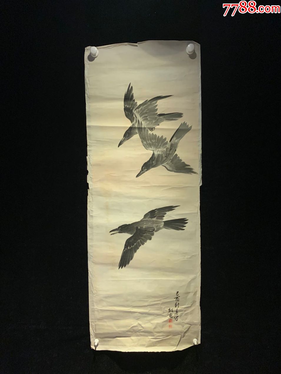 乌鸦古字画民国清代老字画浮世绘画春茶室书房中堂挂轴