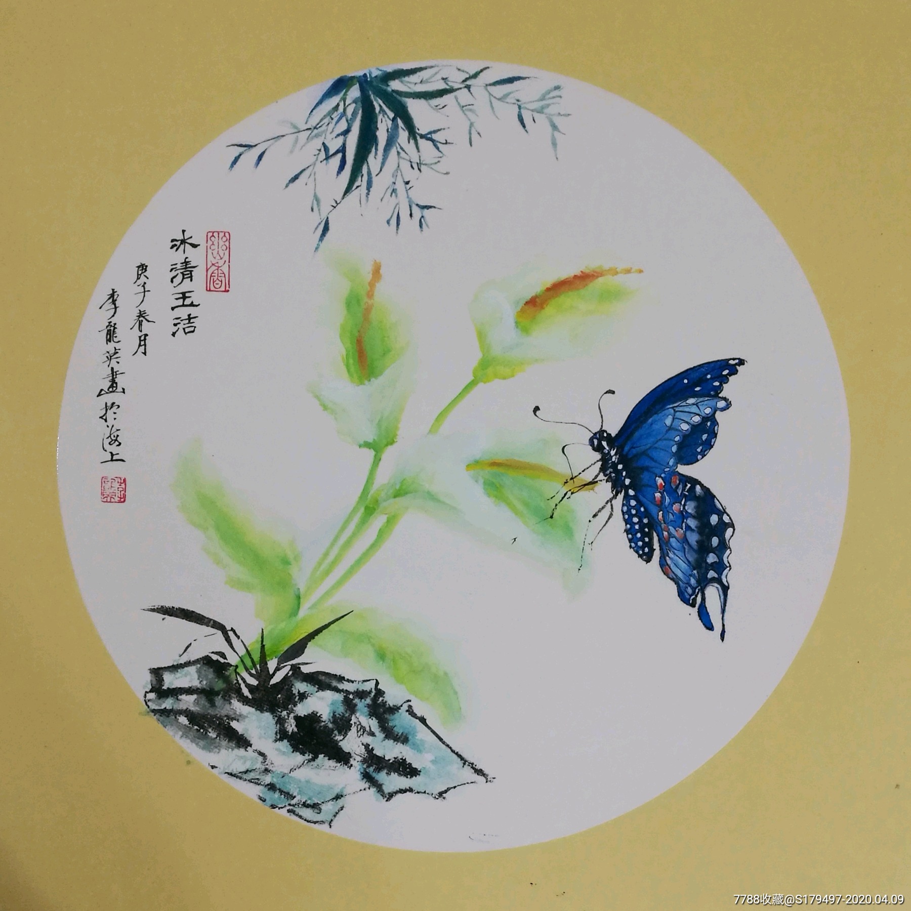 花鸟画小品