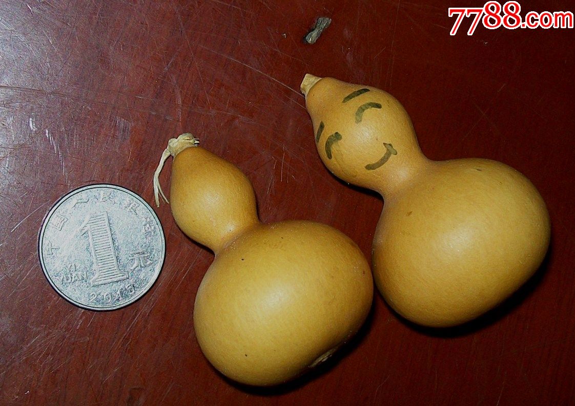 小葫芦两个