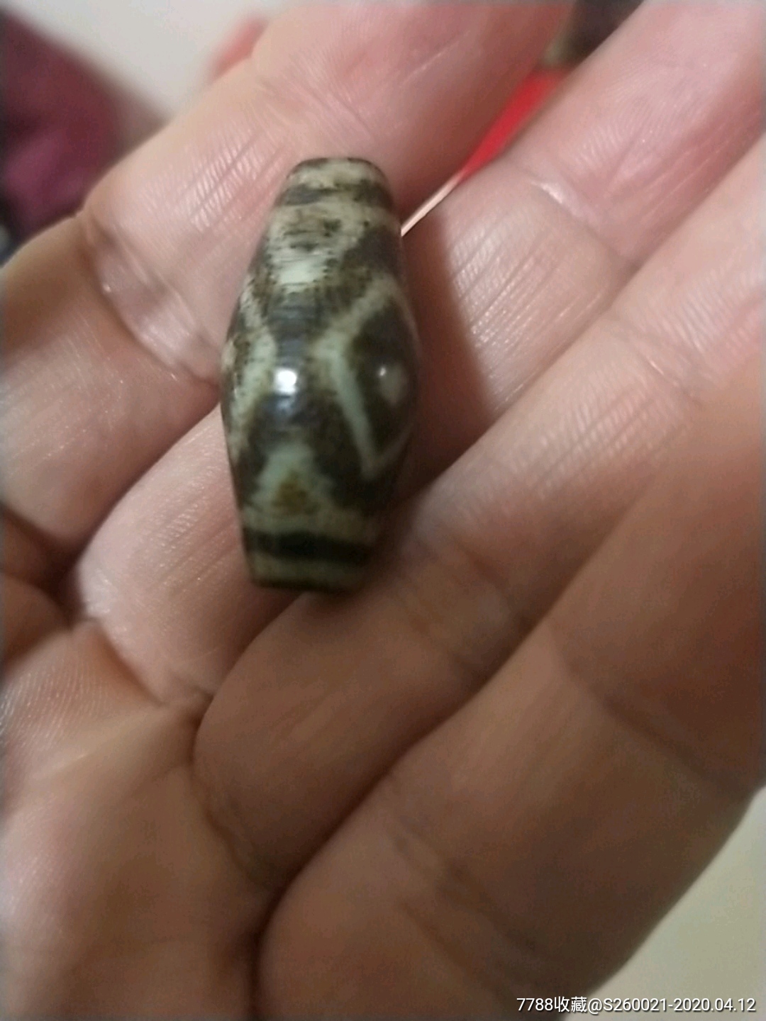 三眼邦迪克天珠千年木化石