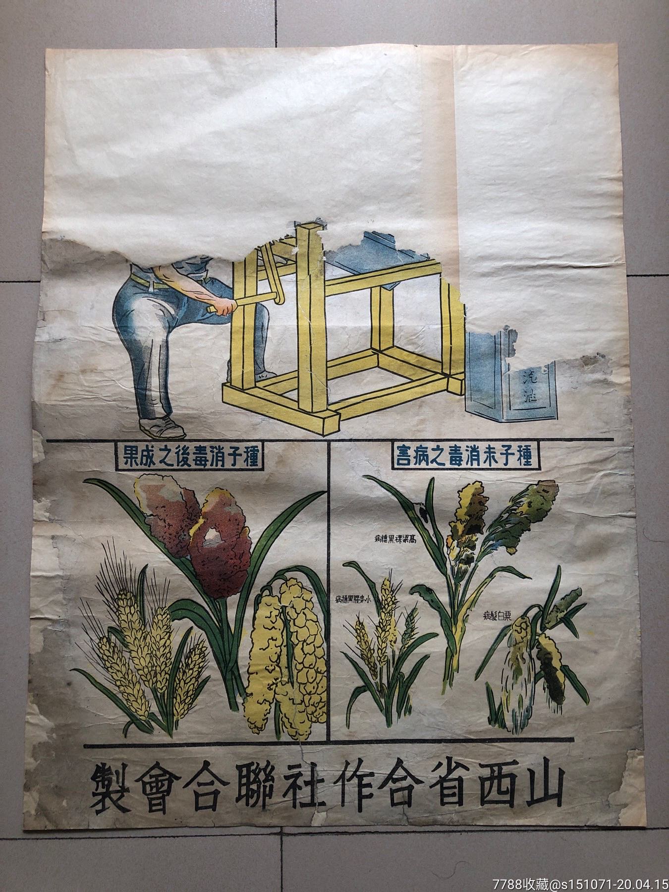 民国早期-山西省合作社联合会制—种子_年画/宣传画_第1张_7788老玩具