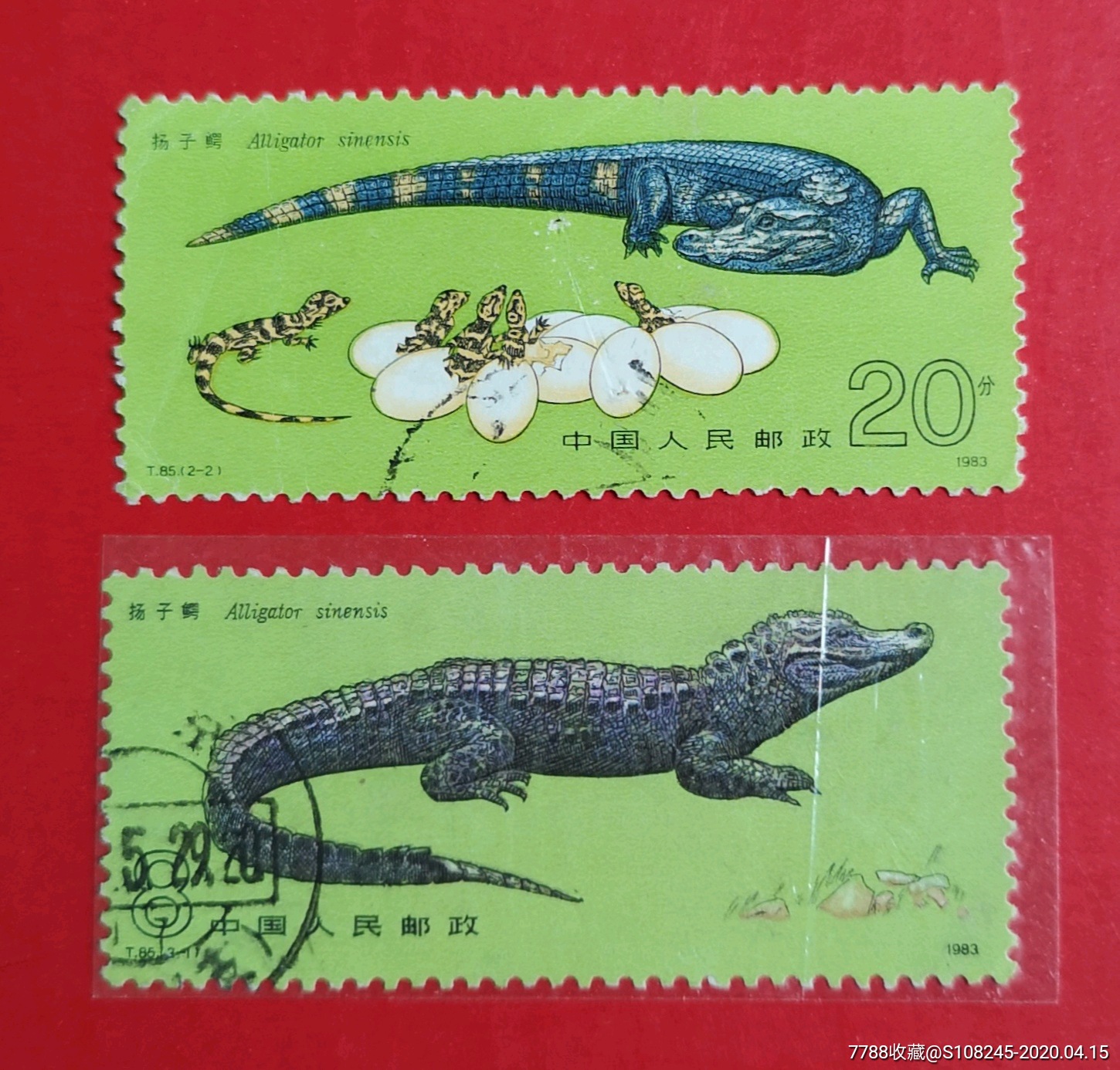 t85鳄鱼_新中国邮票_怡兴邮市【7788收藏__收藏热线】