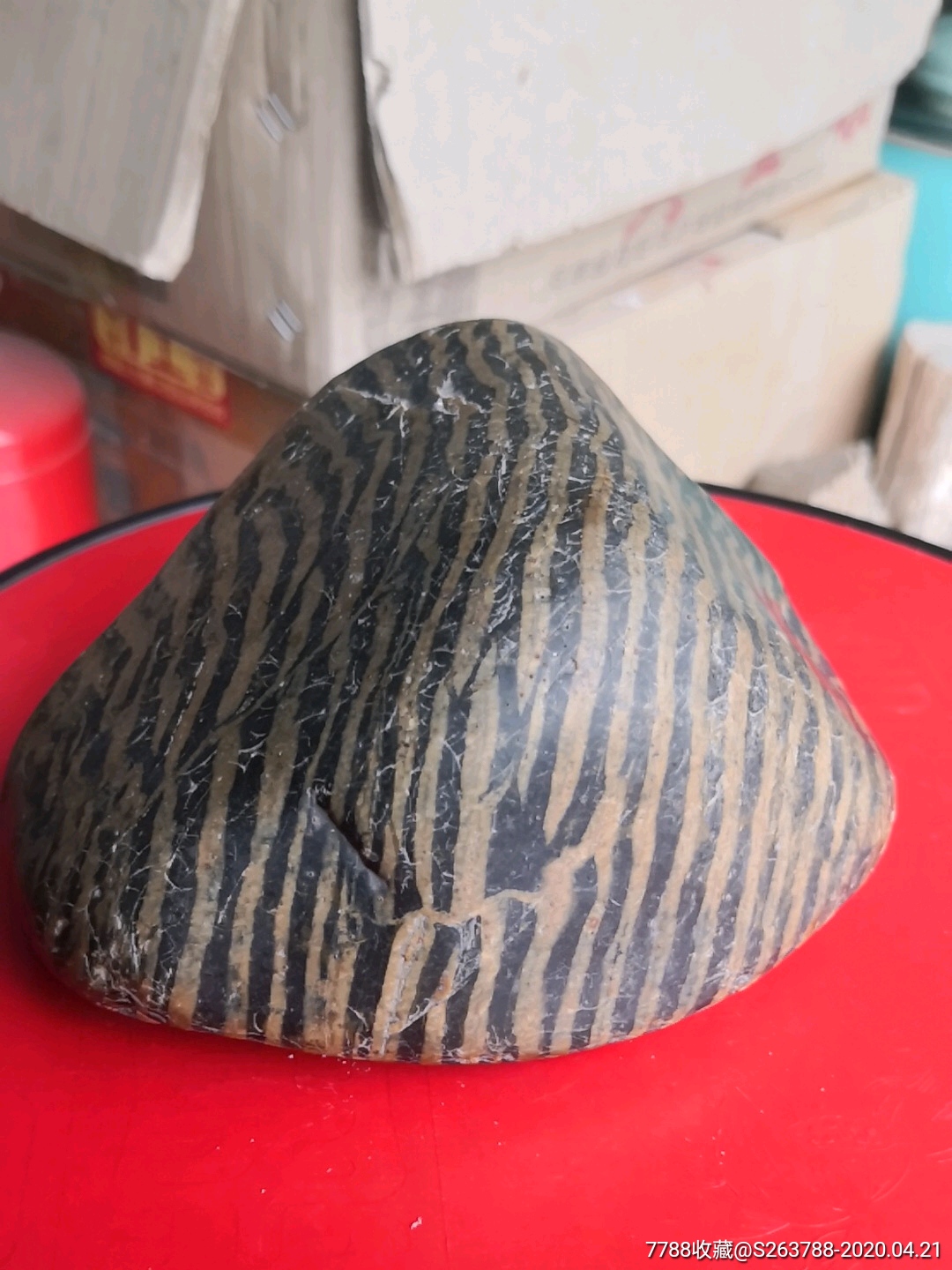 汉江条纹斑马石