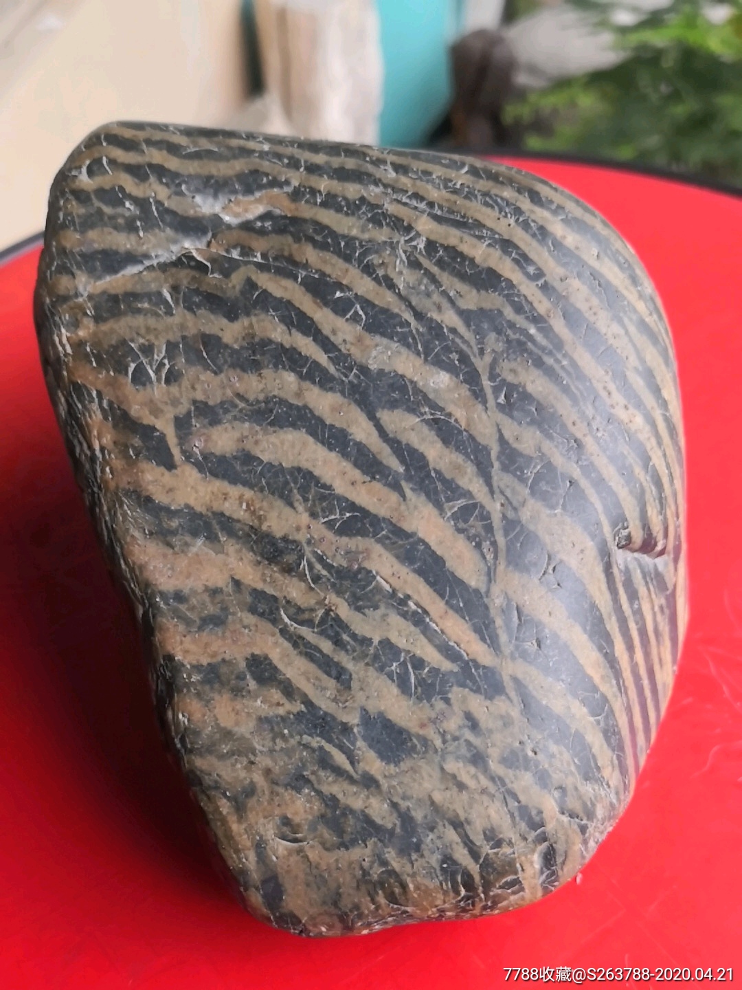 汉江条纹斑马石