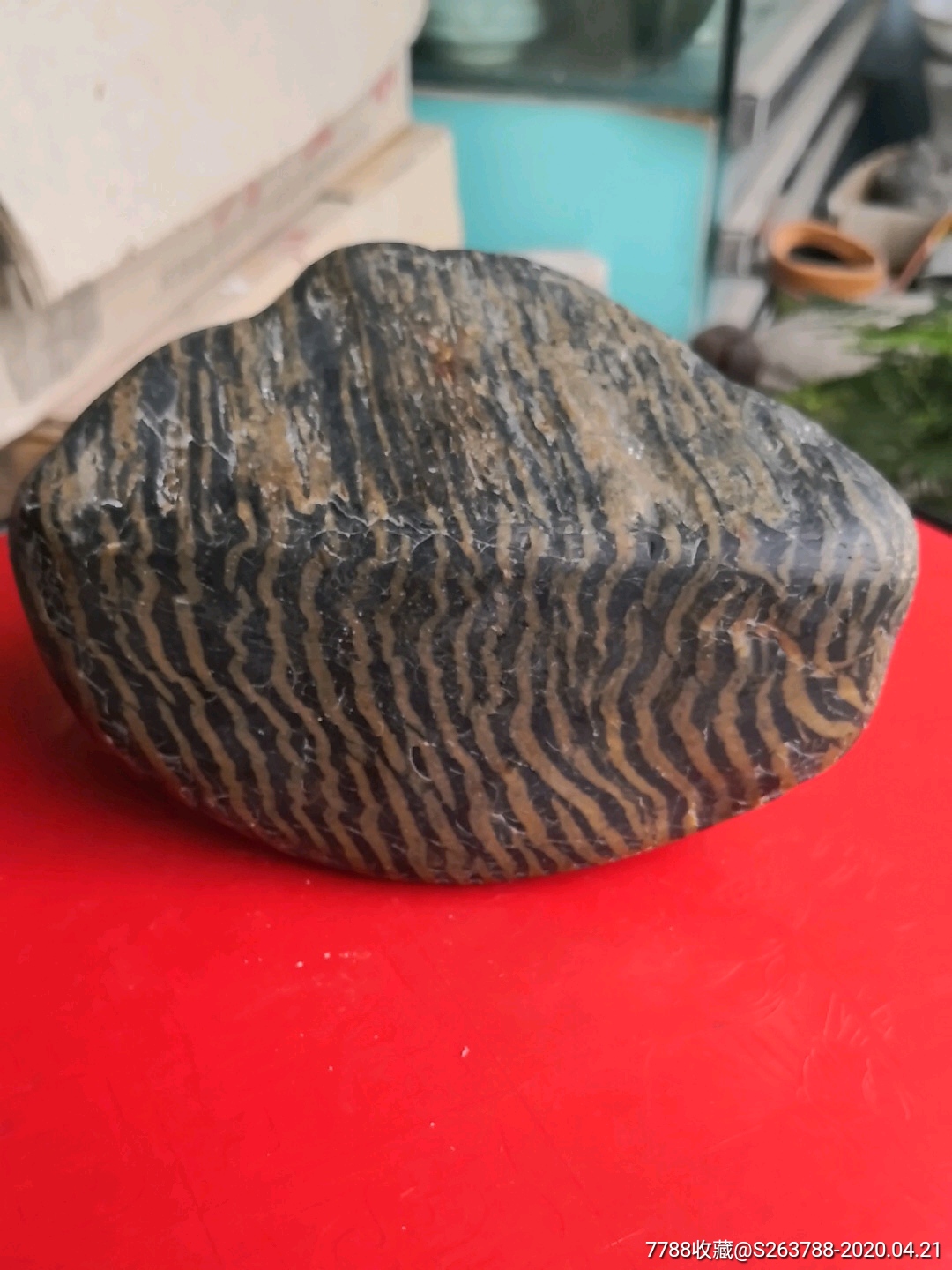 汉江条纹斑马石