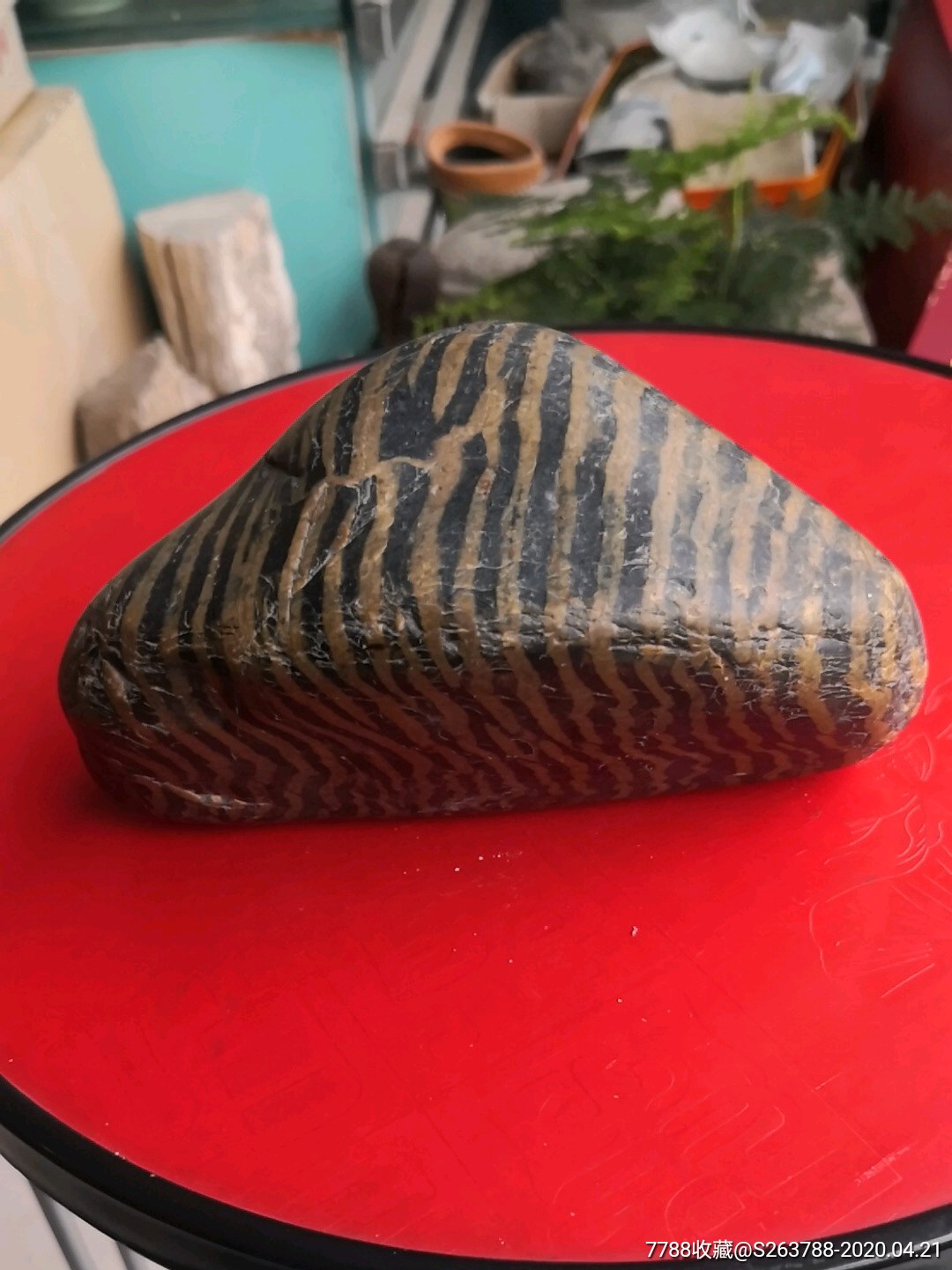 汉江条纹斑马石