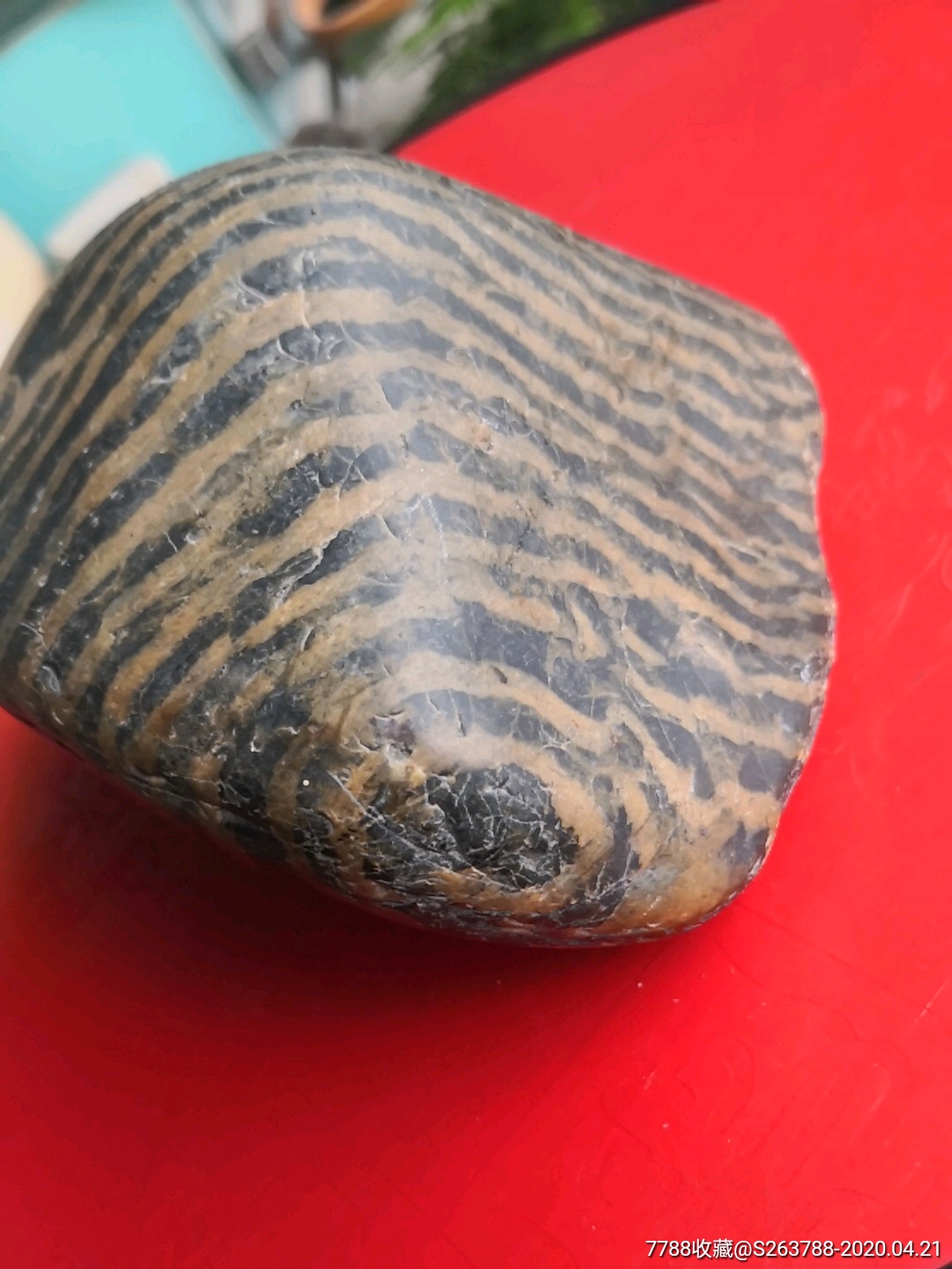 汉江条纹斑马石