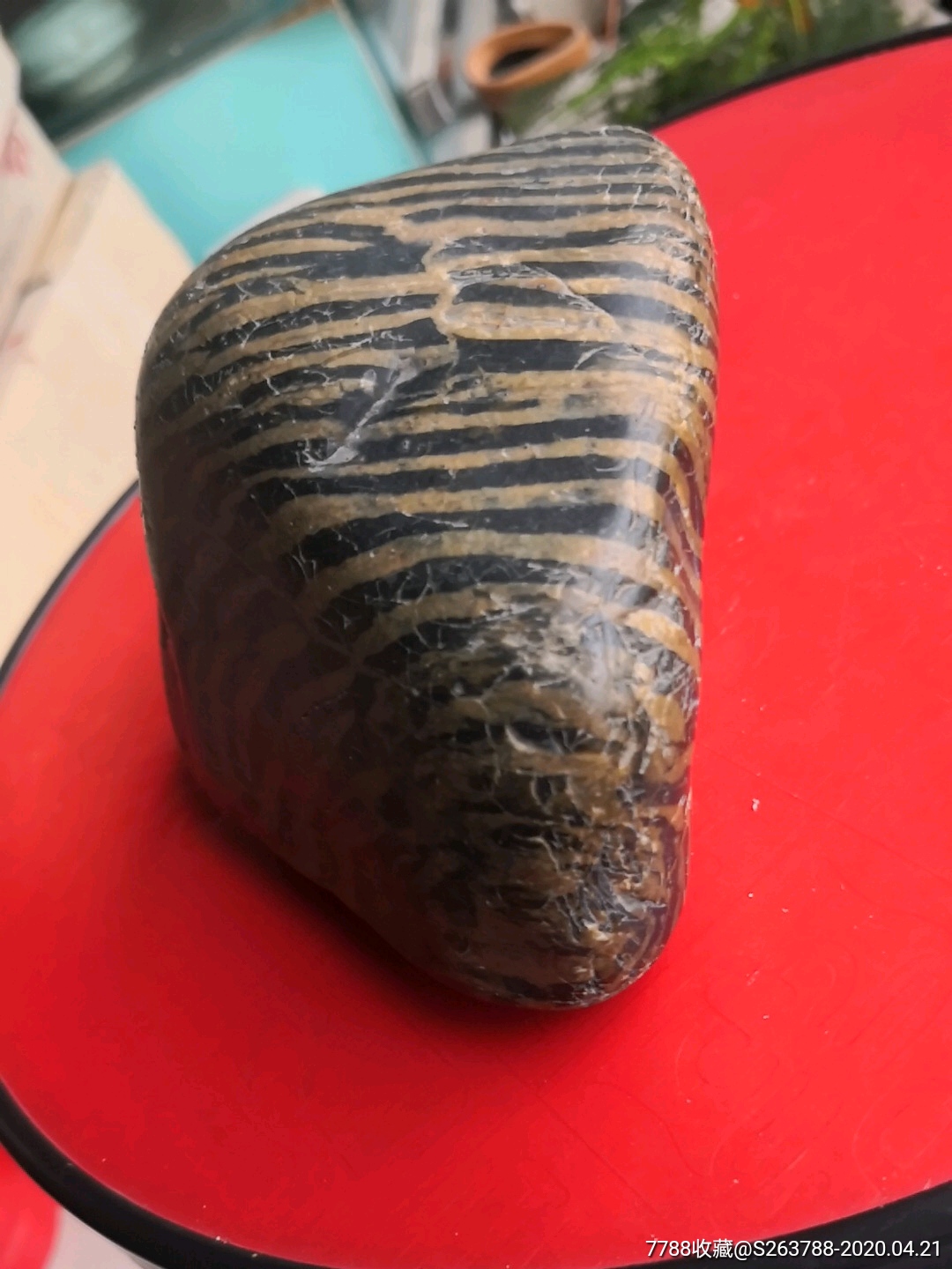 汉江条纹斑马石