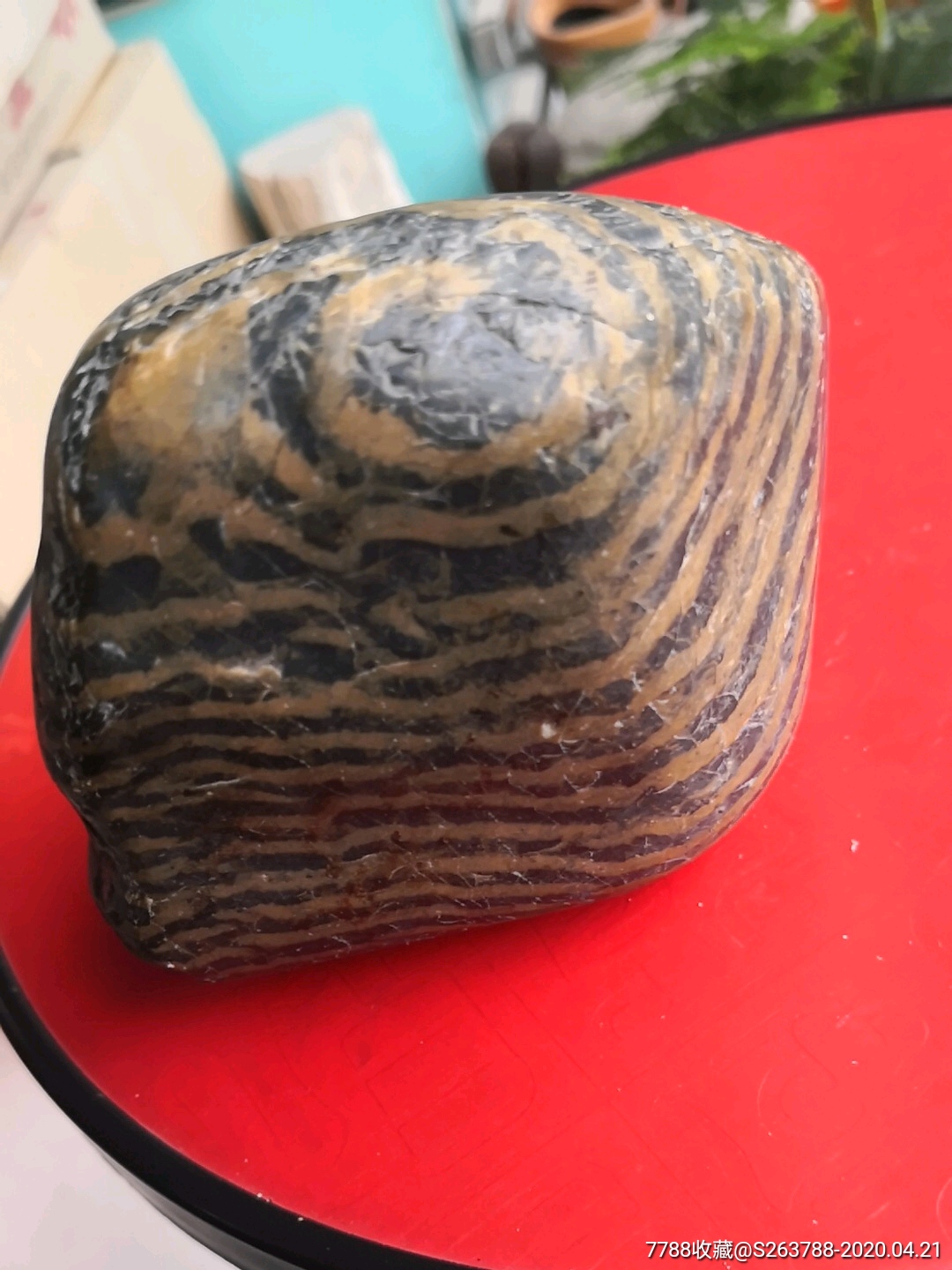 汉江条纹斑马石