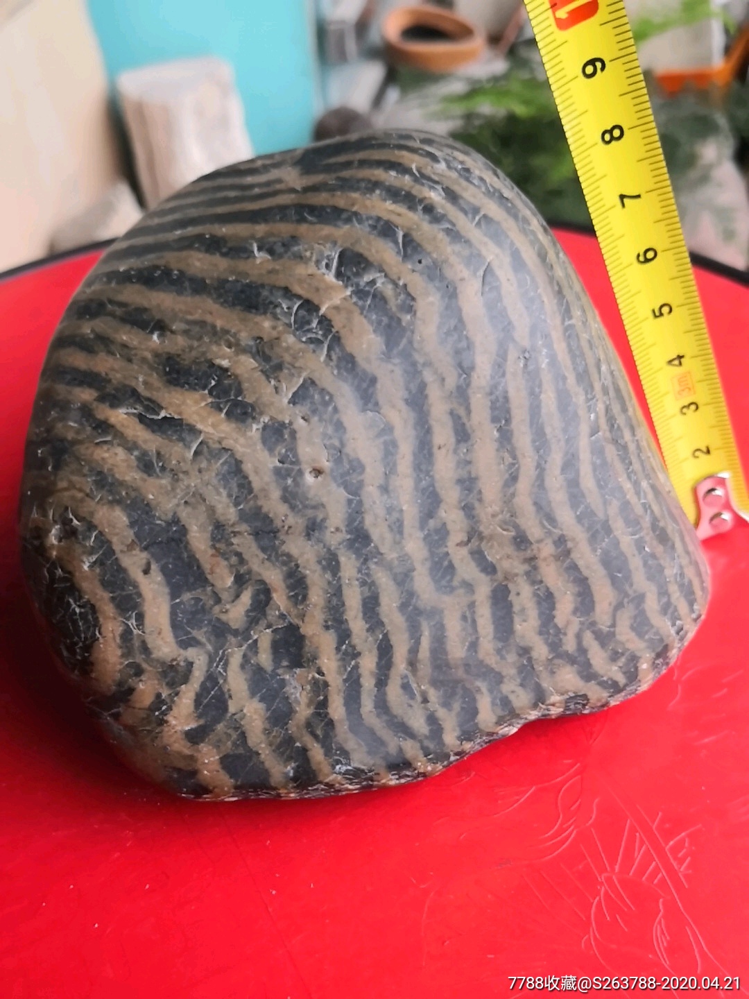 汉江条纹斑马石