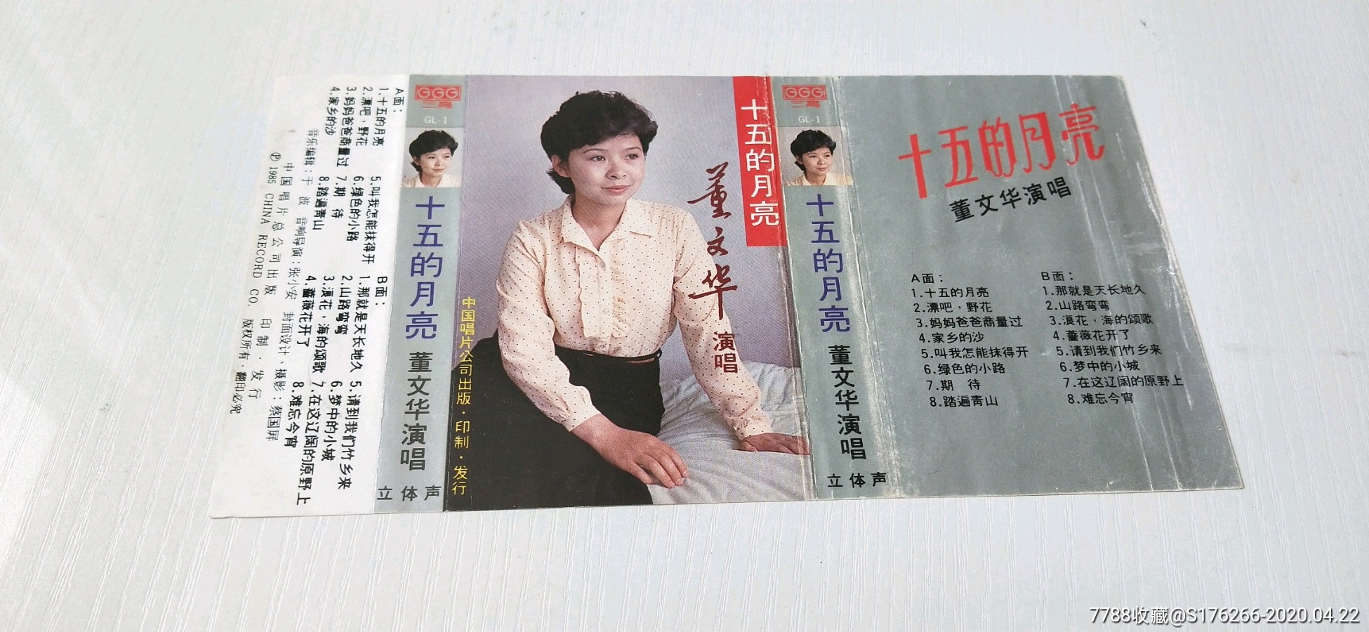 董文华,十五的月亮