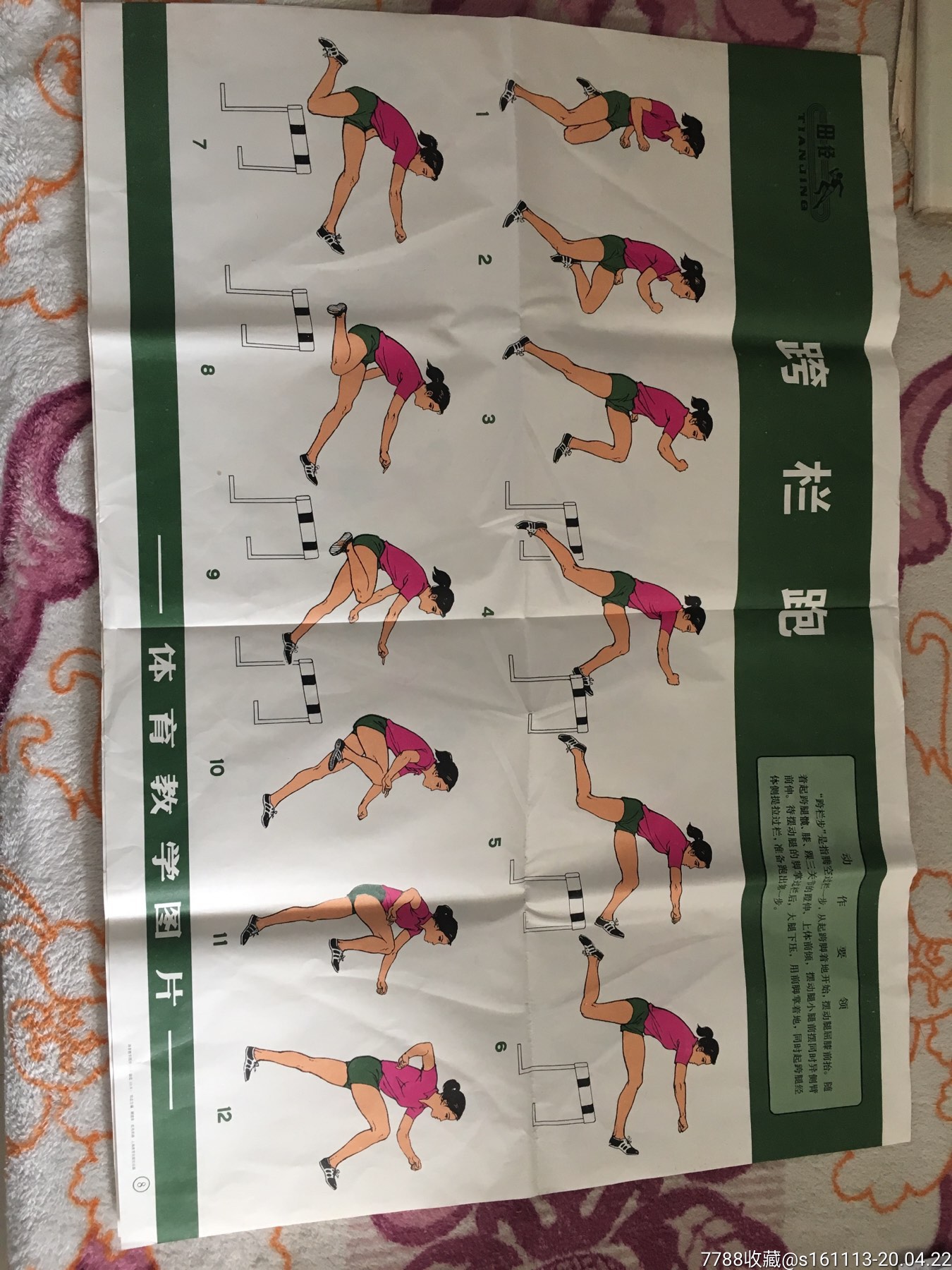 体育教学图片-教学挂图-7788收藏