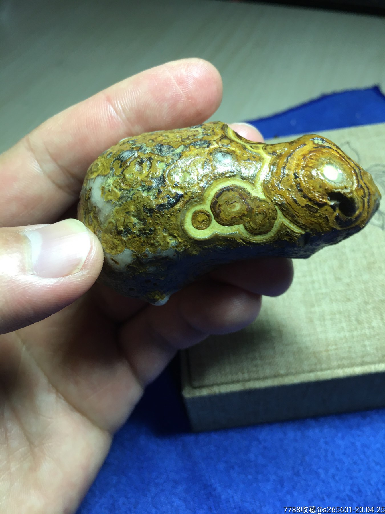 天然九眼石页岩原石金蟾手把件