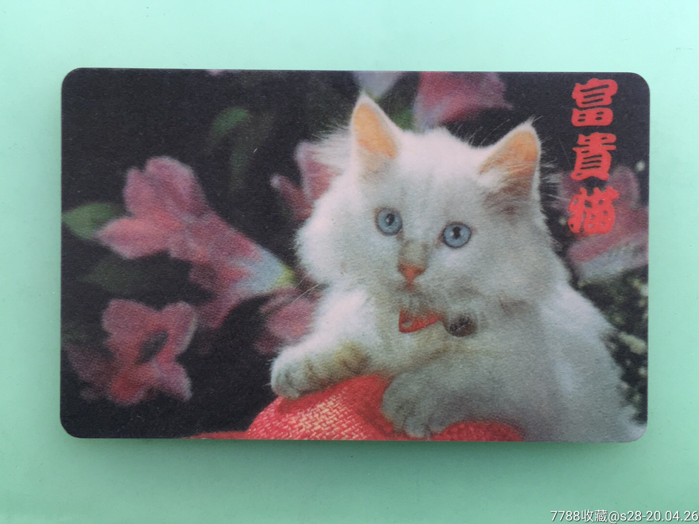 富贵猫-价格:10元-se72615936-年历卡/片-零售-7788收藏__收藏热线