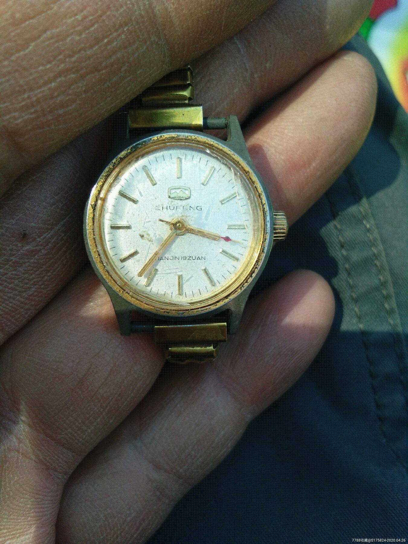 珠峰牌女表-手表/腕表-7788收藏__收藏热线