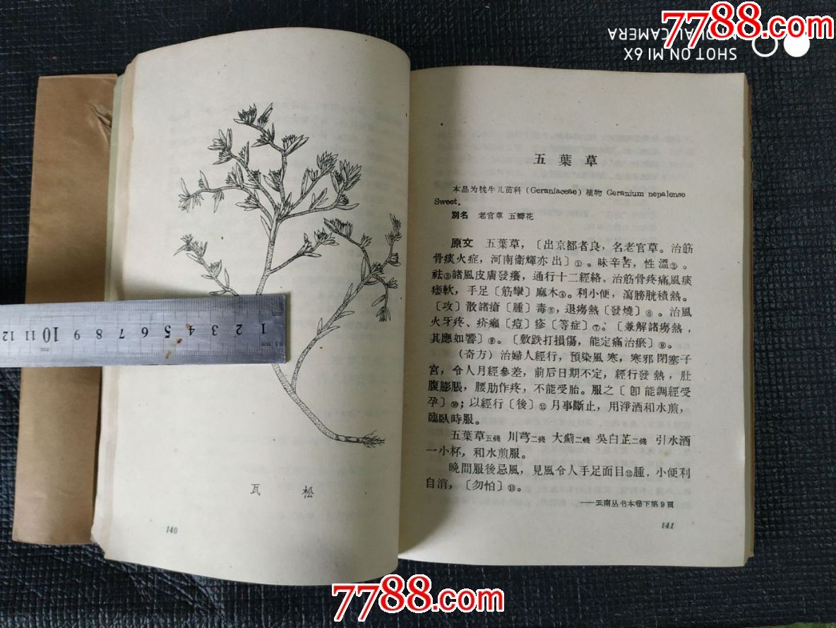 全网唯一《滇南本草》第一卷59年9月一版一印