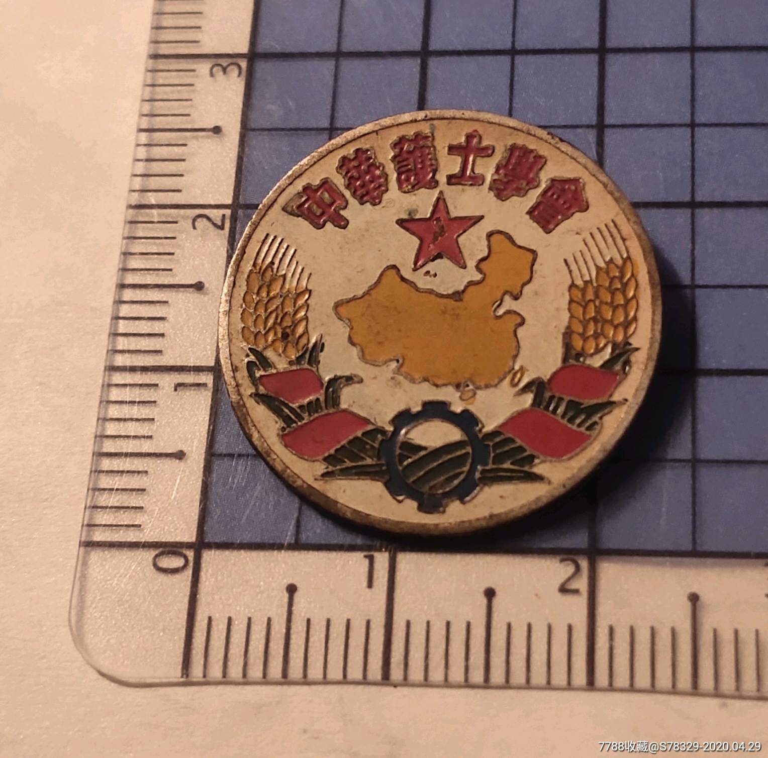 中华护士学会-医疗/卫生徽章-7788收藏__收藏热线