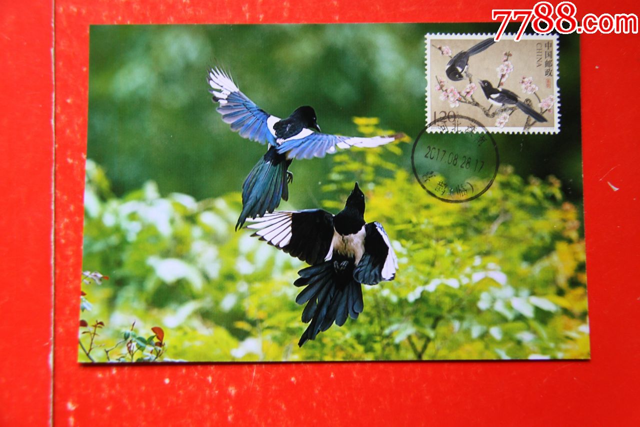 喜鹊极限明信片