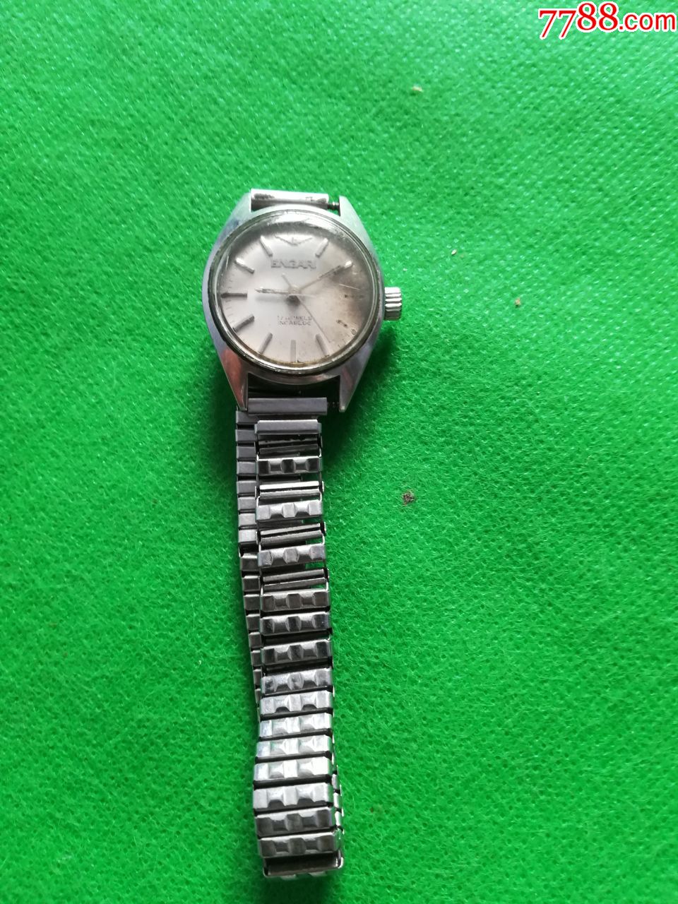 小飞鹰标志女表