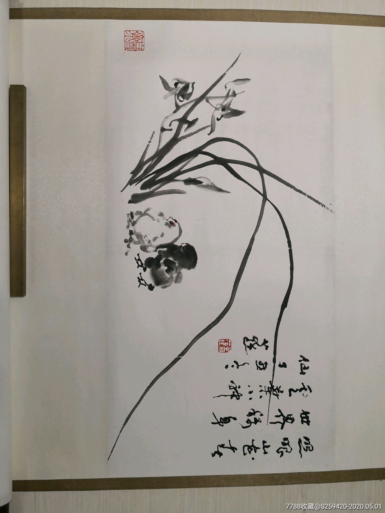 吴蓬画兰花图片