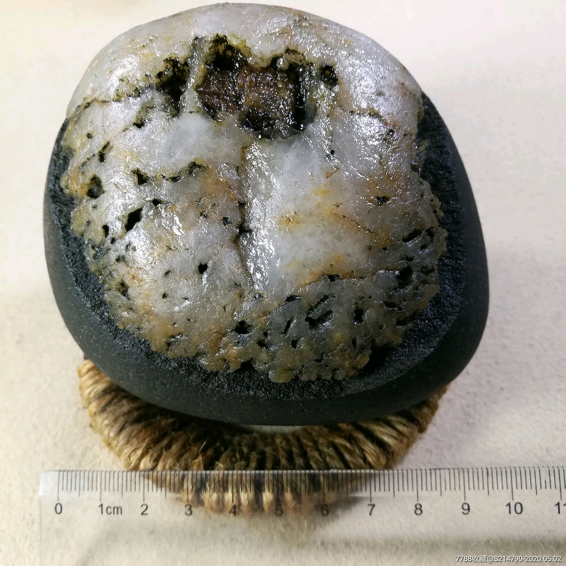 长江石奇石石头开花