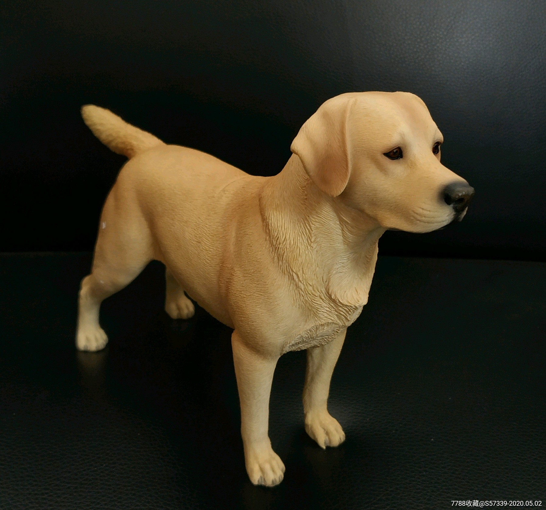 1/6仿真动物模型:《拉布拉多寻回猎犬》尺寸:23*6*14(cm),重498g