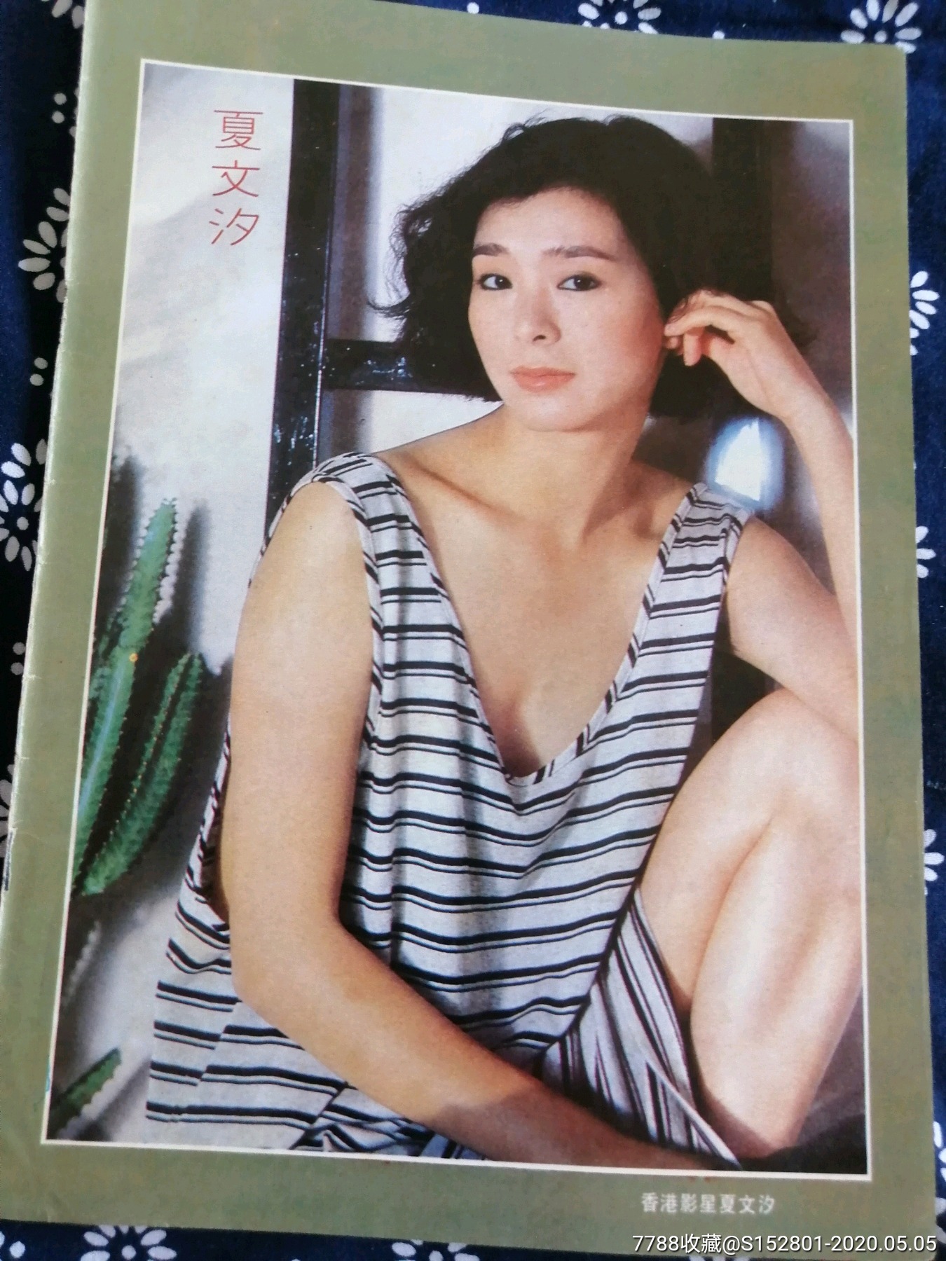 彩页:港台明星夏文汐