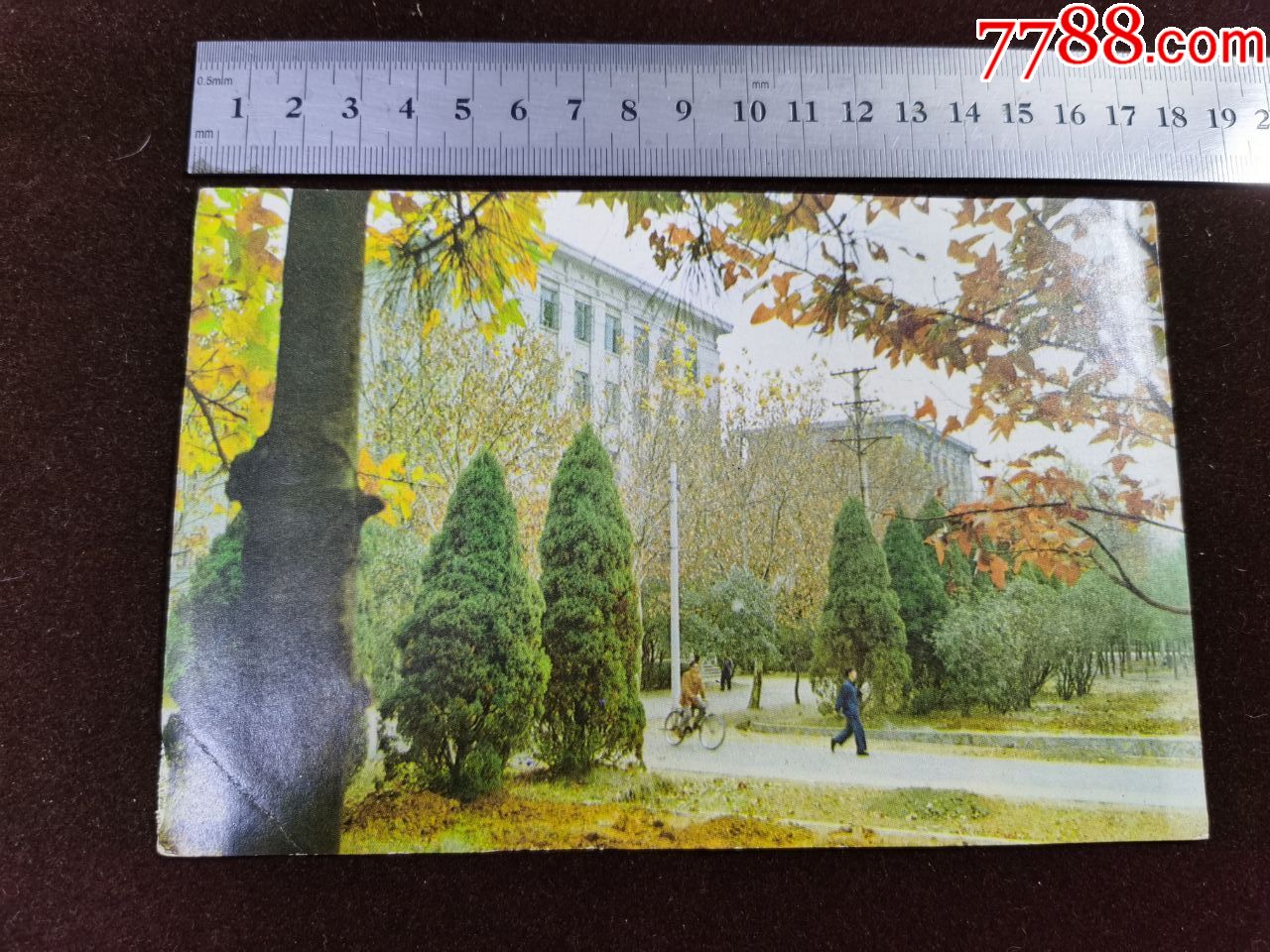 年历卡82年华中工学院校园一景