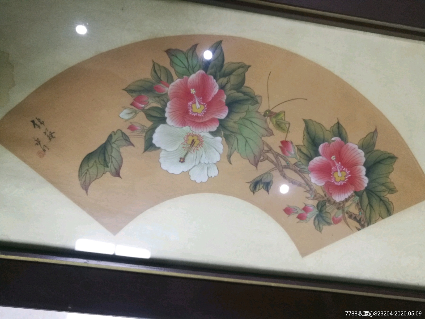 著名画家汪永明--扇面锦葵