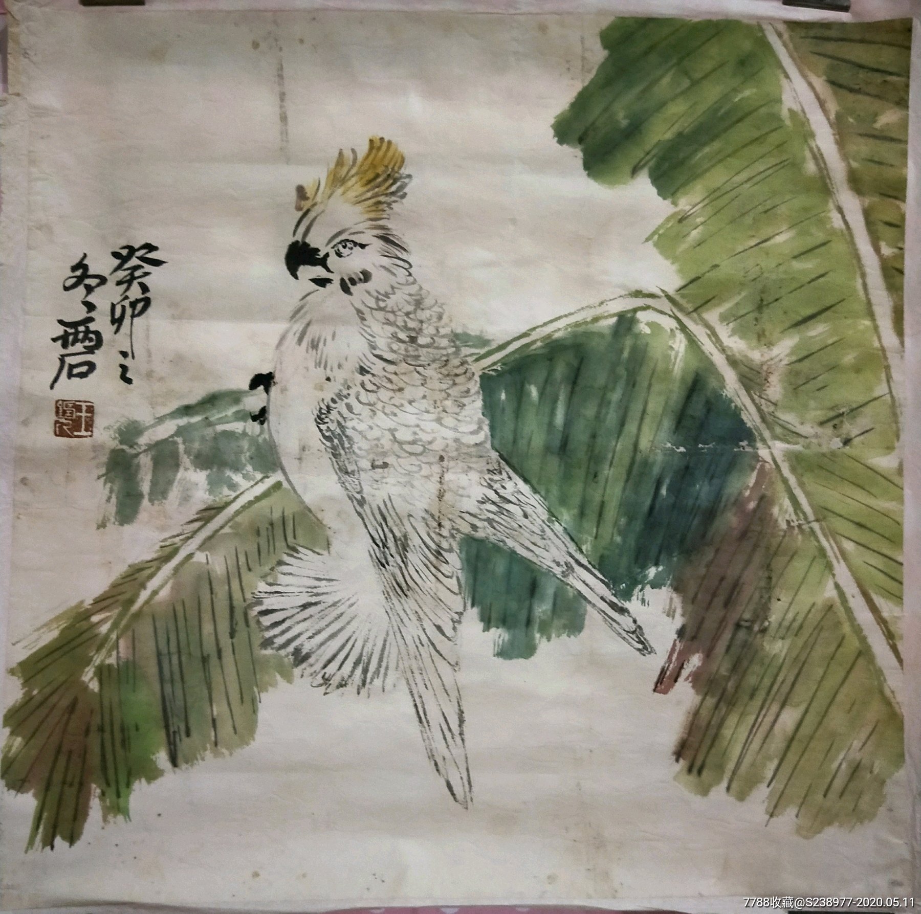 王铸九5555厘米左右