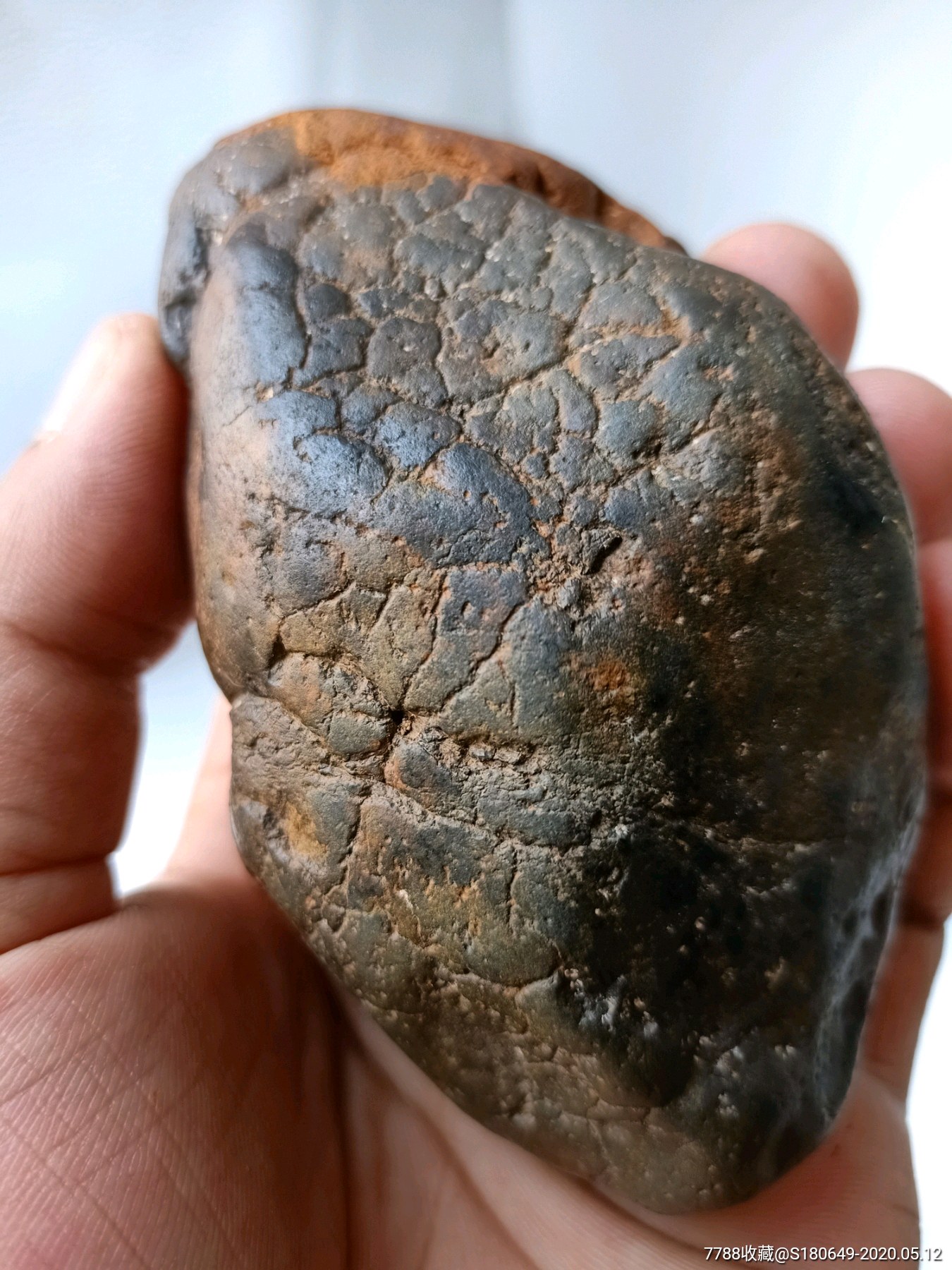 新疆龟裂纹陨石图片