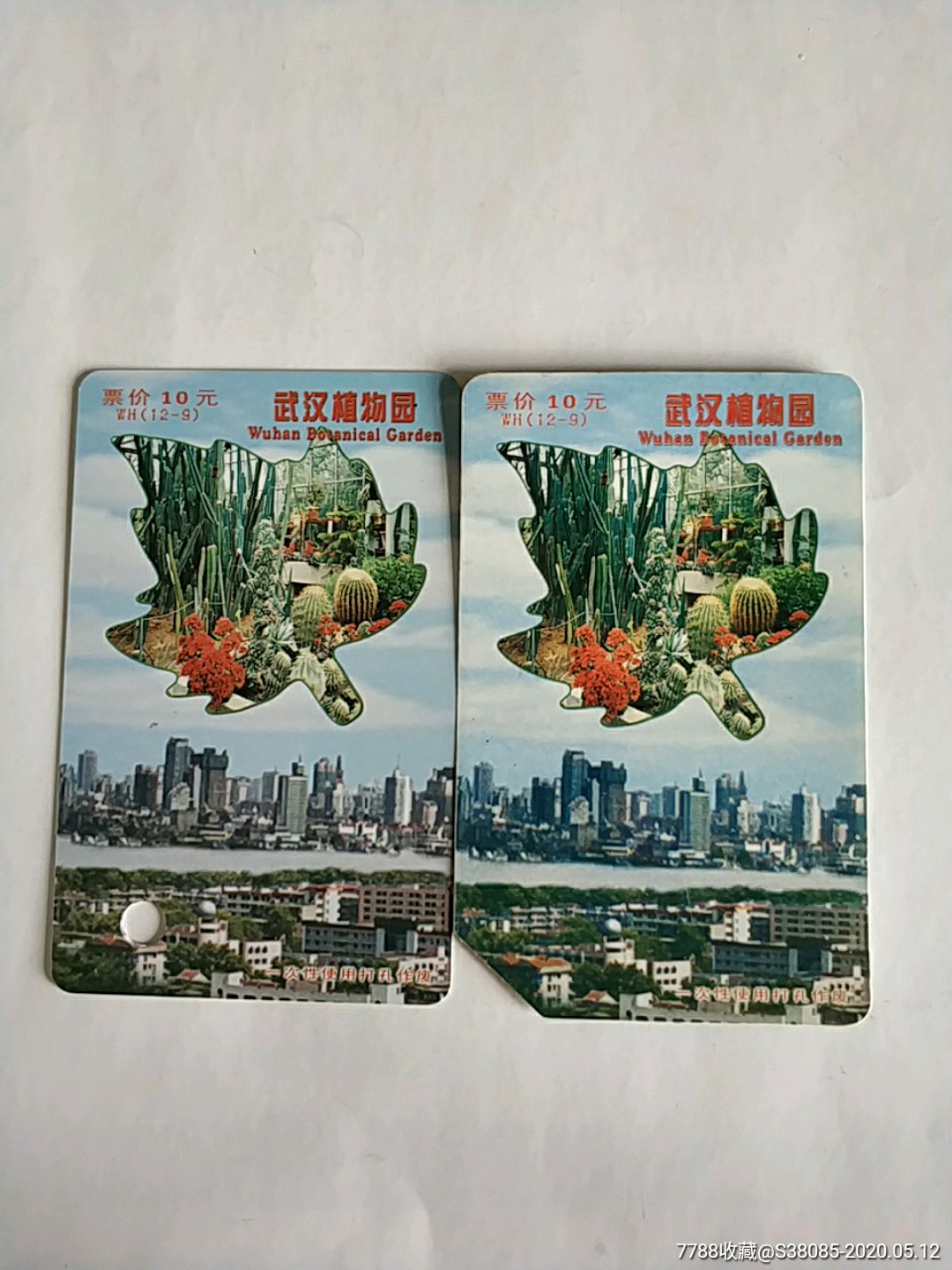 武汉植物园(12