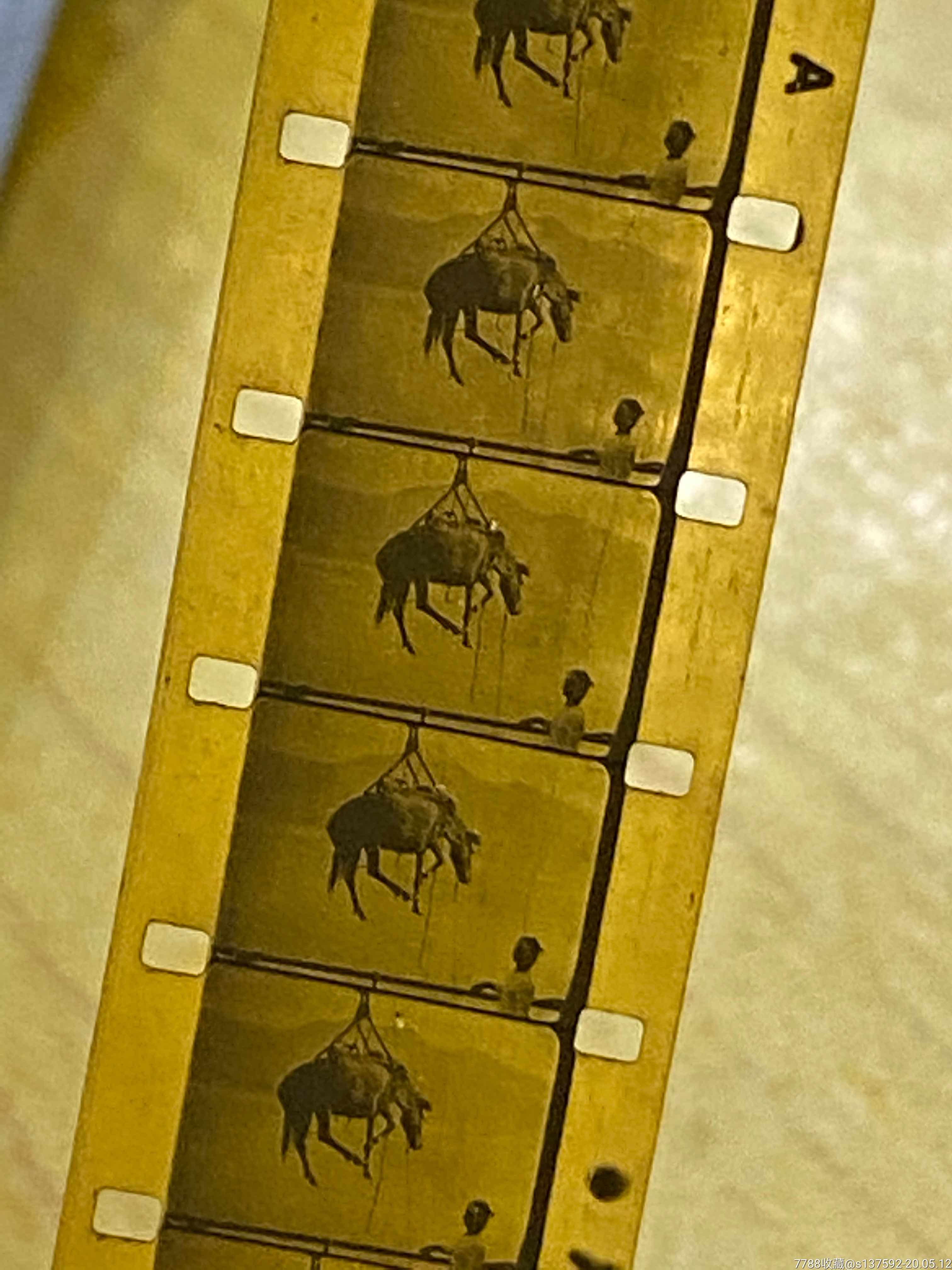 民国电影记事记录版放映底片-胶卷/胶片-7788收藏