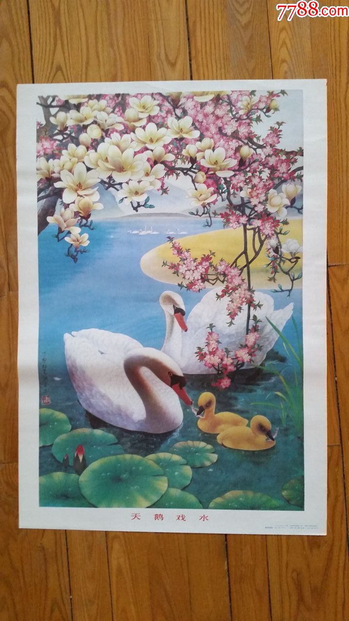 天鹅戏水-价格:15元-se73024449-年画/宣传画-零售-7788收藏__收藏